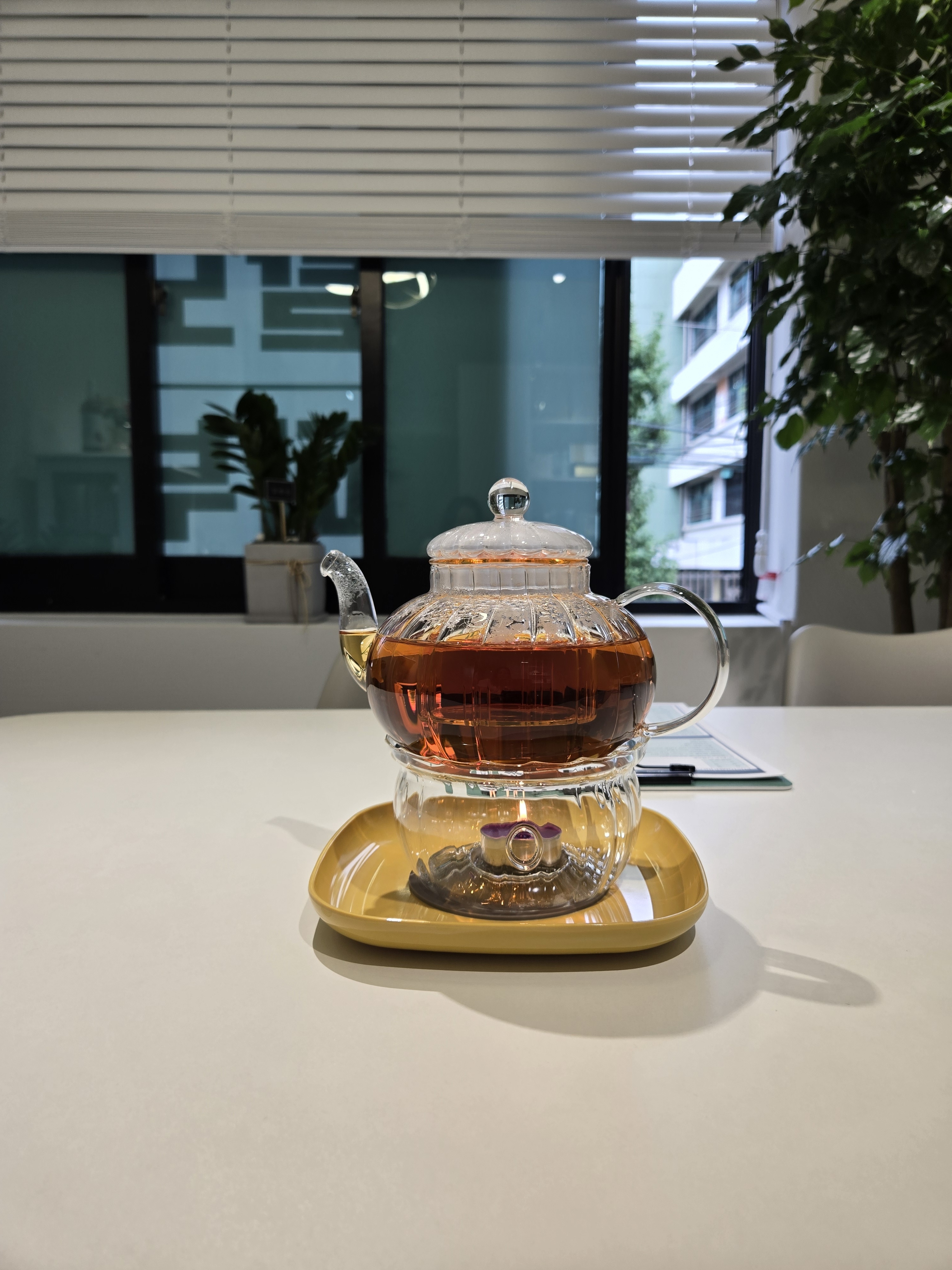 숲칼프 대표 이미지