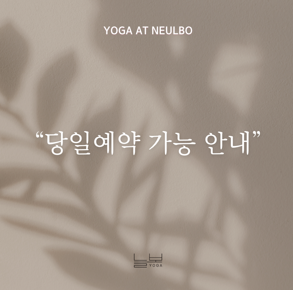 요가,늘보 대표 이미지