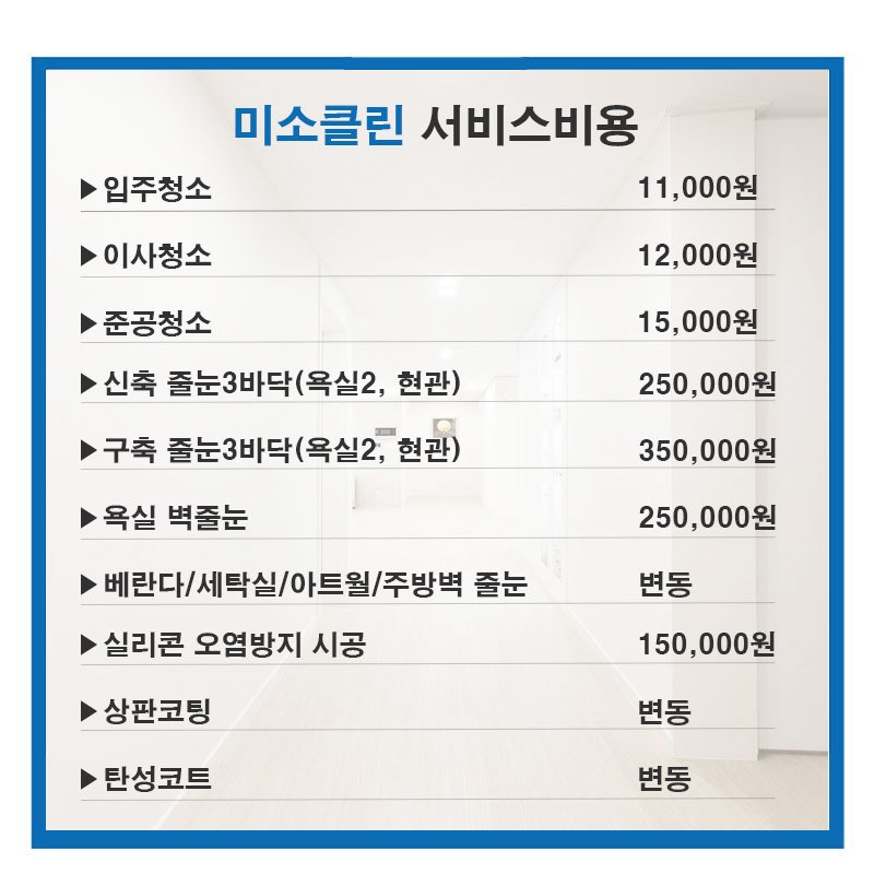 미소클린