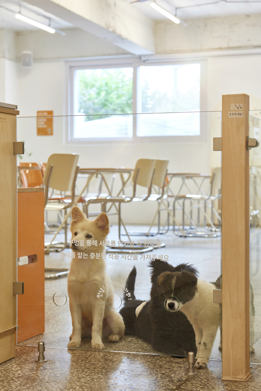 포인핸드 경의숲점 대표 이미지