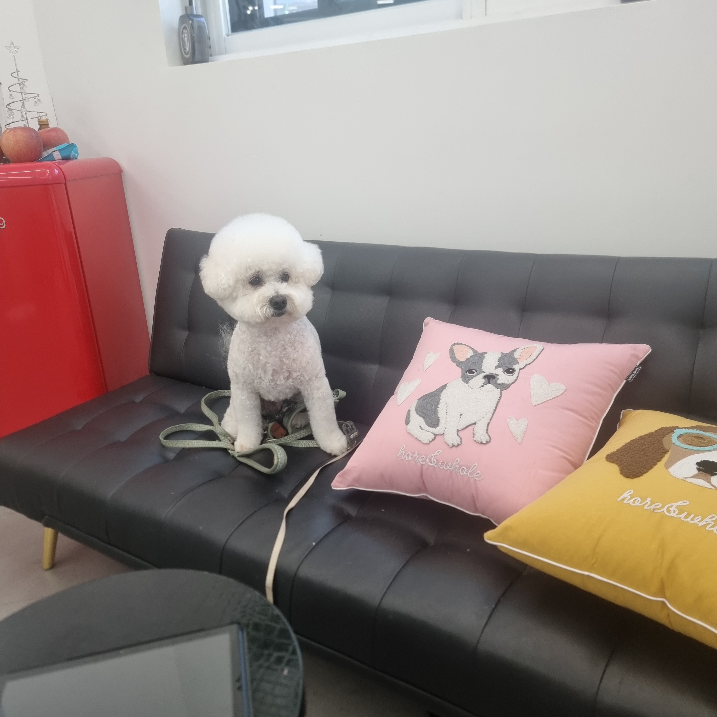 도기도기 대표 이미지