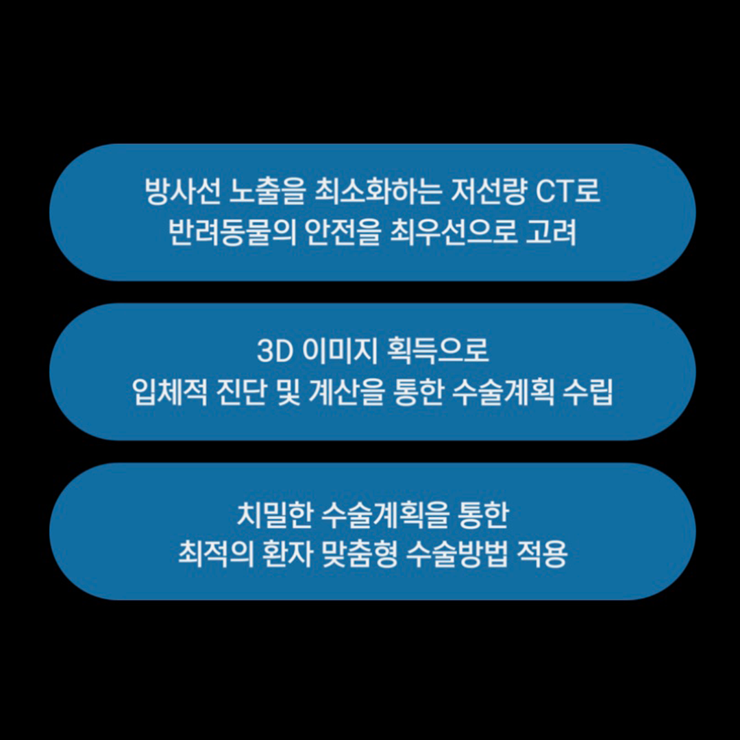 대치동물메디컬센터 대표 이미지