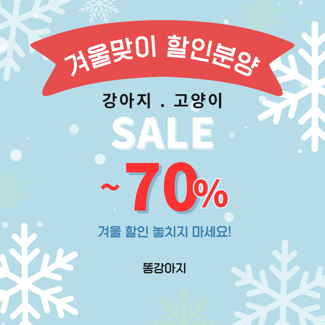 김해 강아지분양 고양이분양 똥강아지