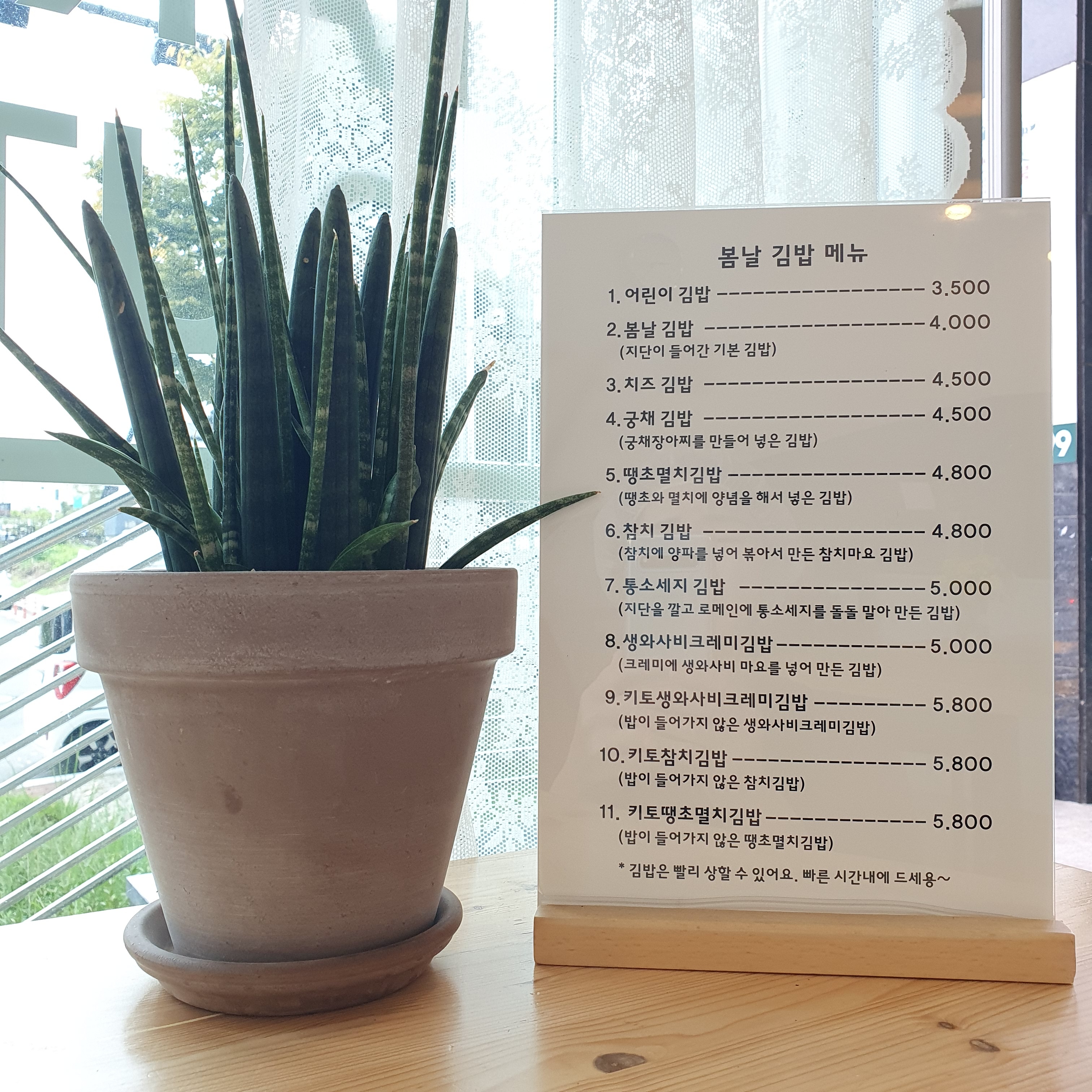 봄날김밥