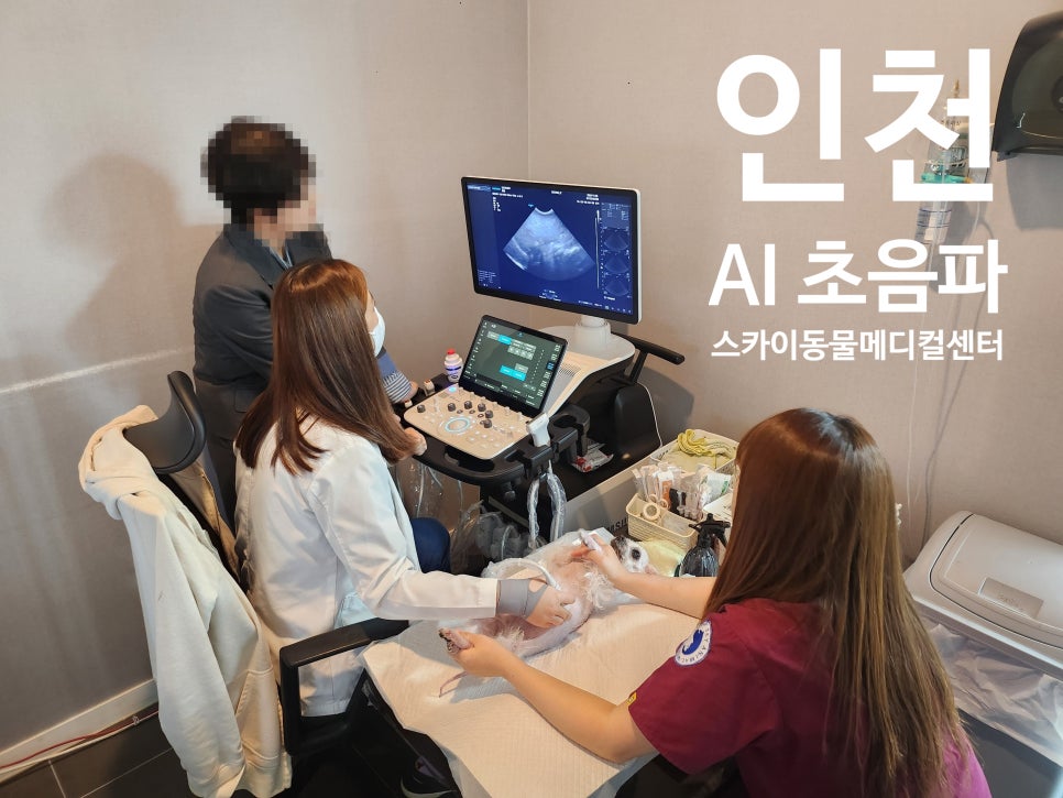 인천24시스카이동물메디컬센터