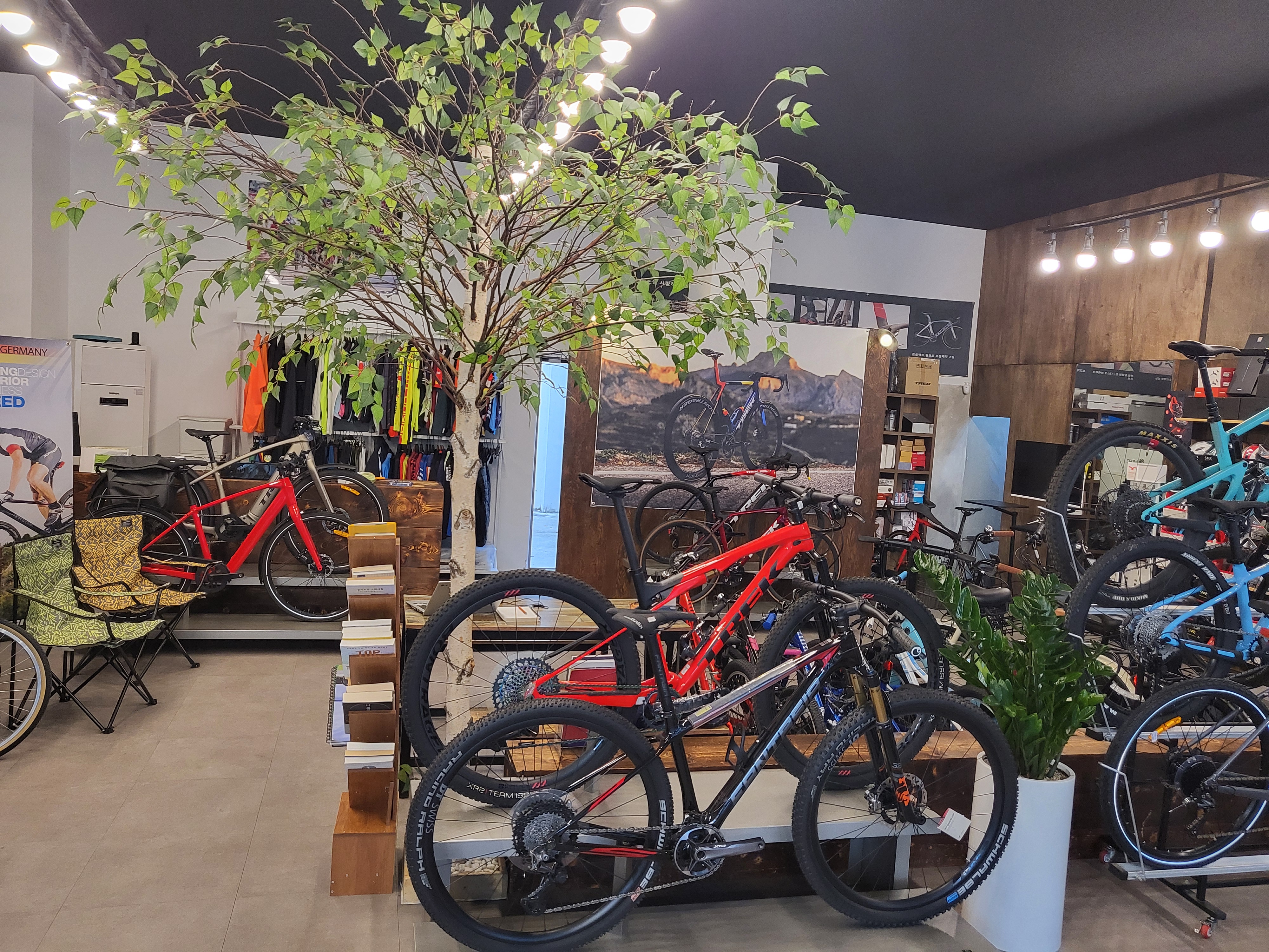 트렉 바이크클리닉 대표 이미지