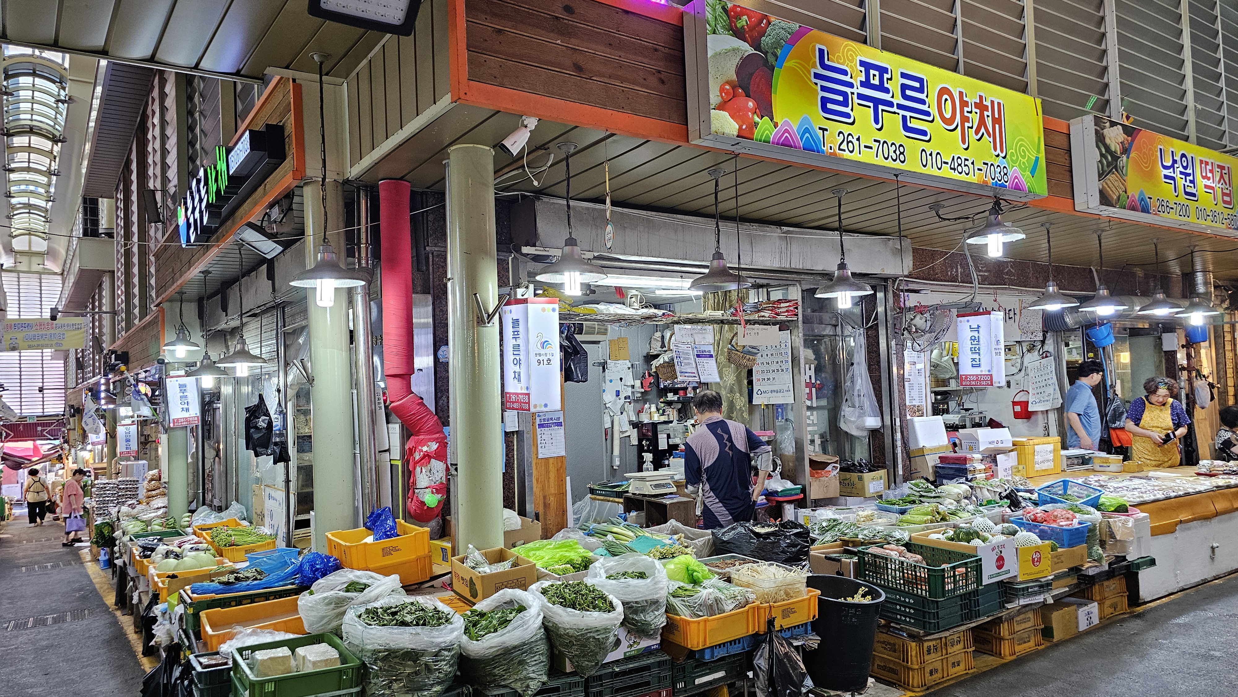 늘푸른야채