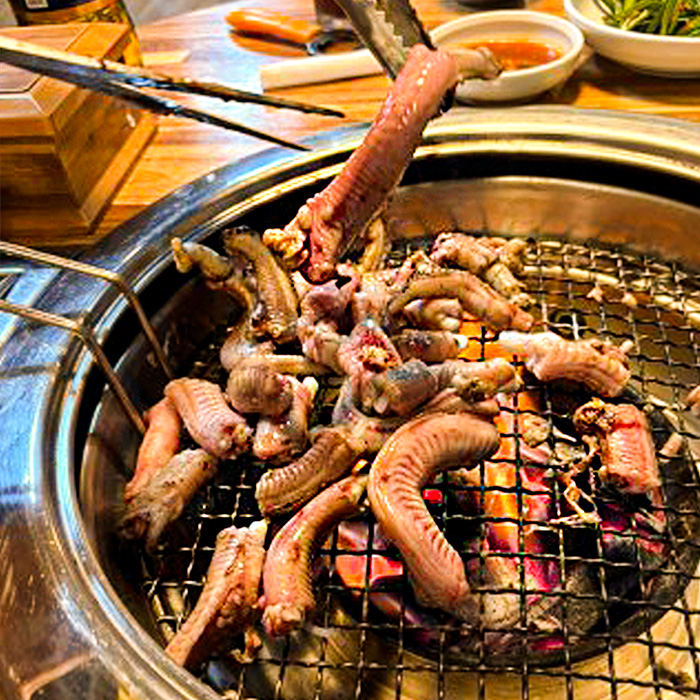효교 향동점 반려동물 동반 애견카페