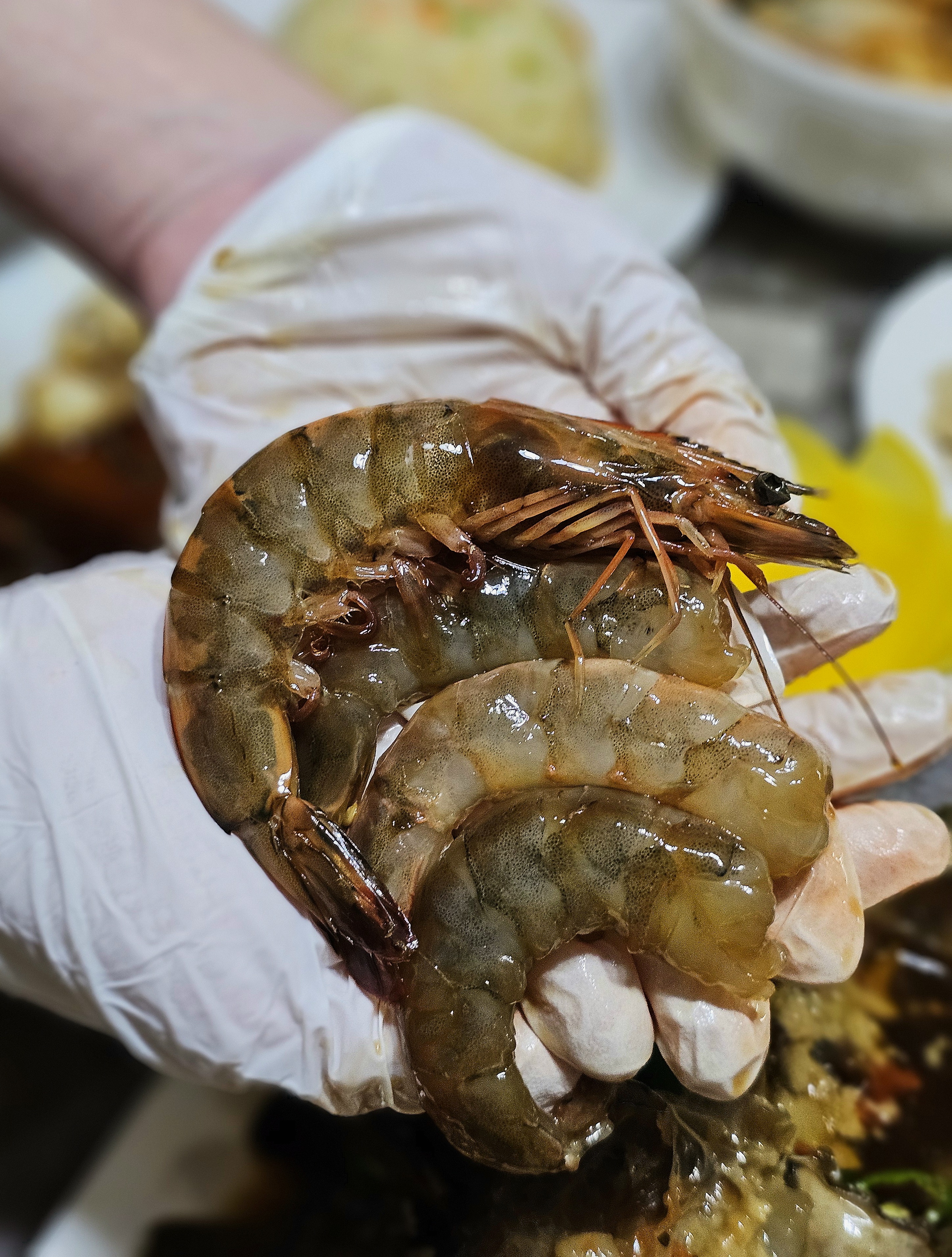 마섬포 숙이네