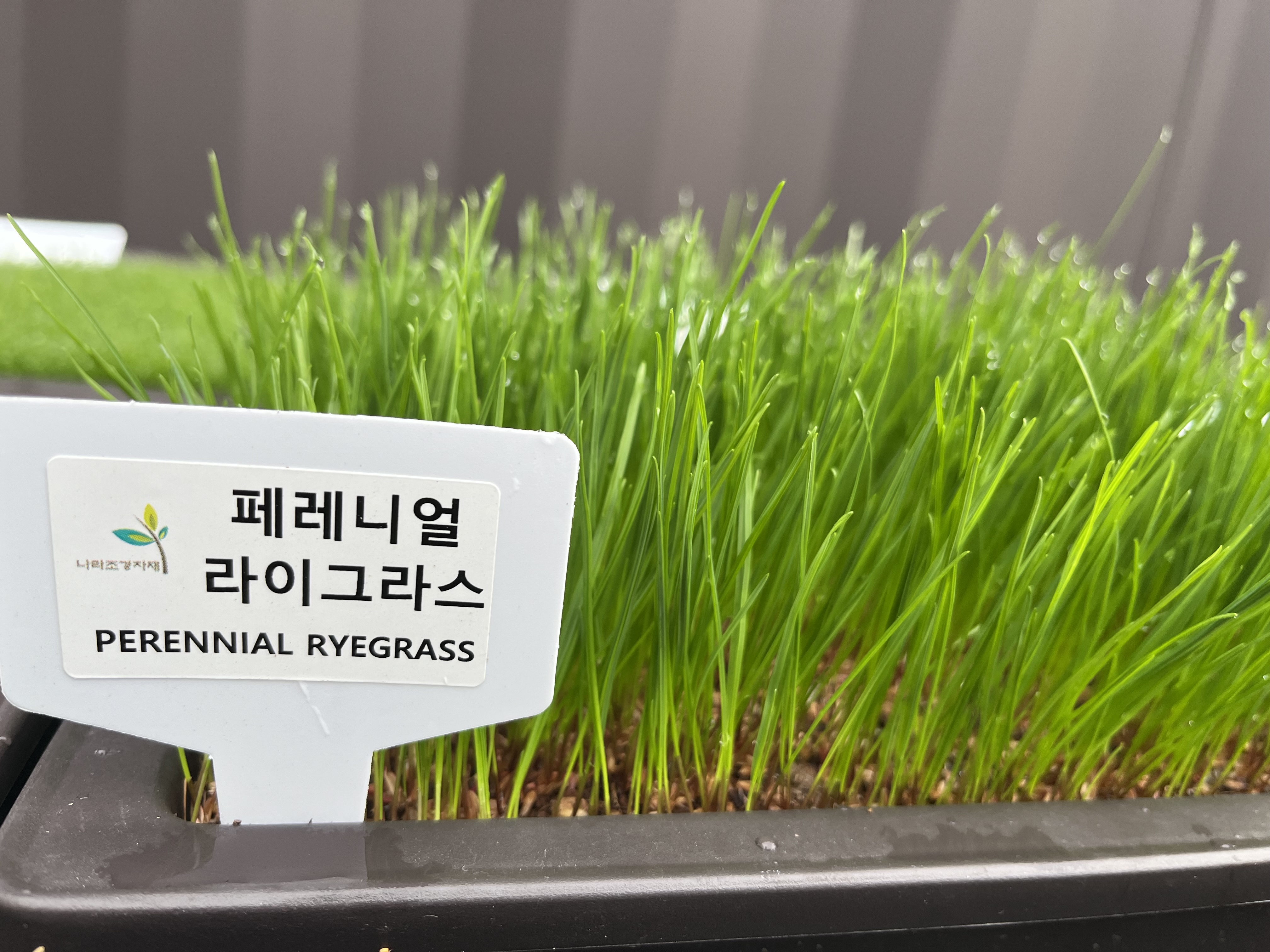 나라조경자재