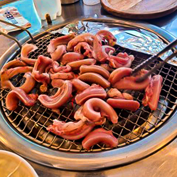효교 향동점 경기 애견맛집
