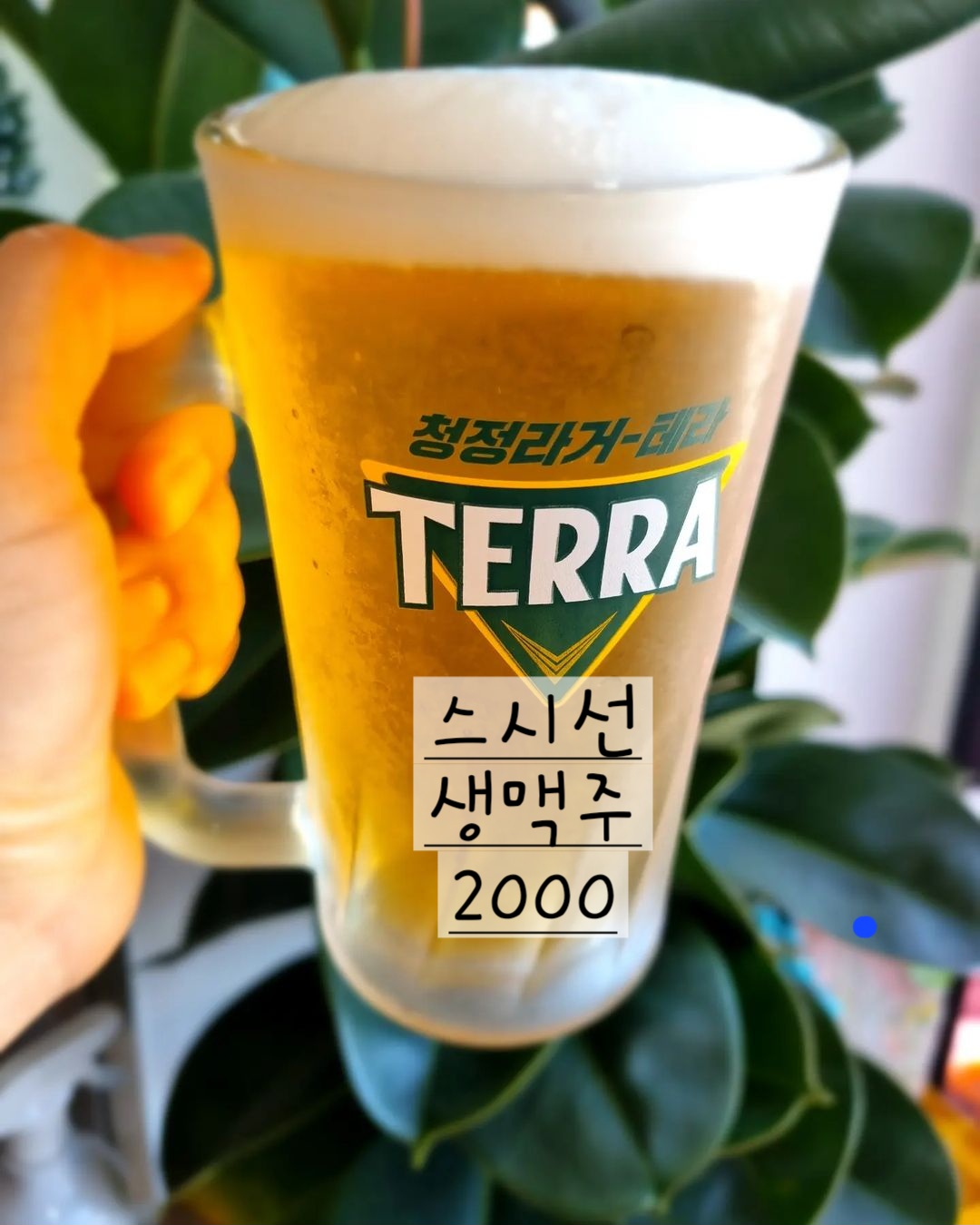 스시선