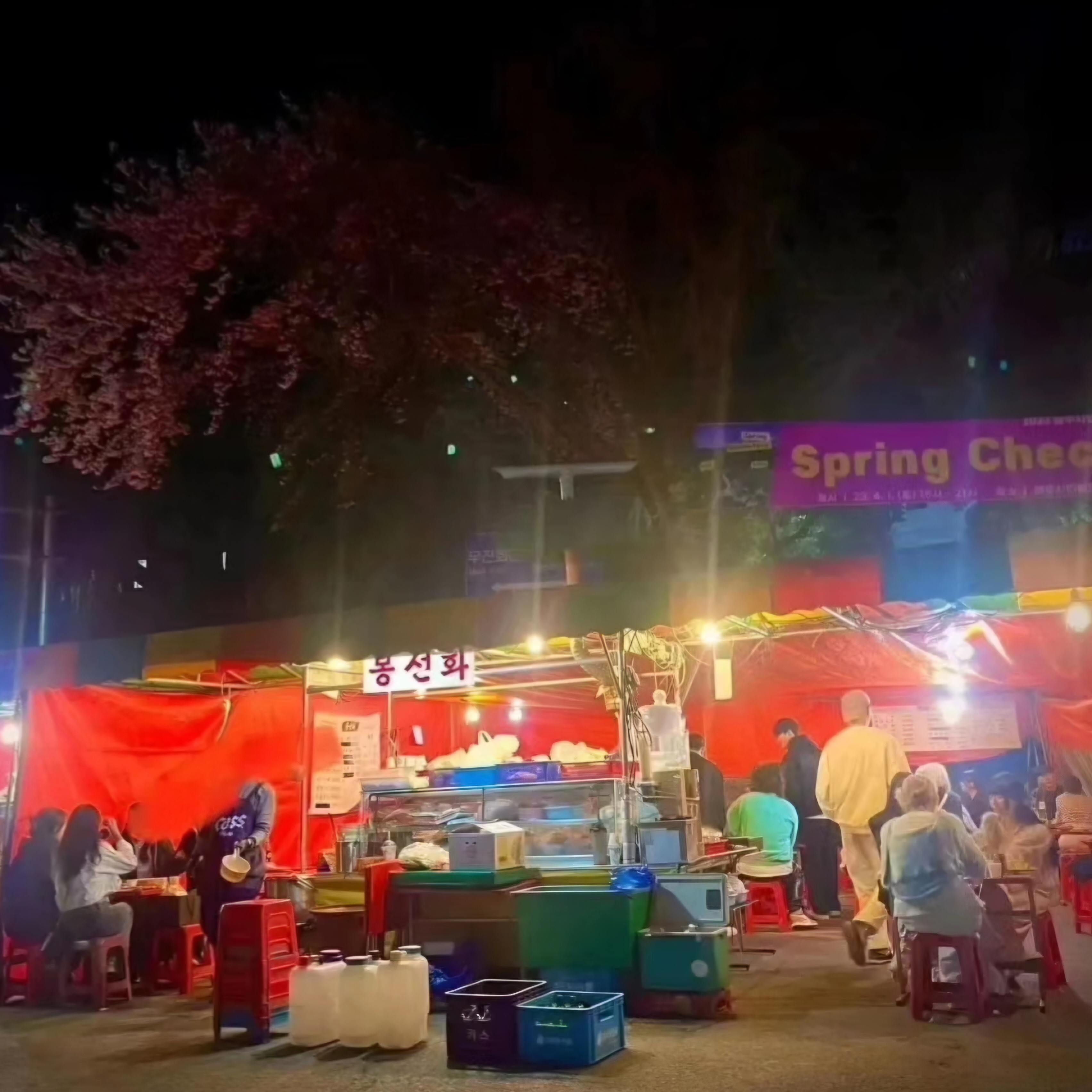 봉선화12호 설명사진