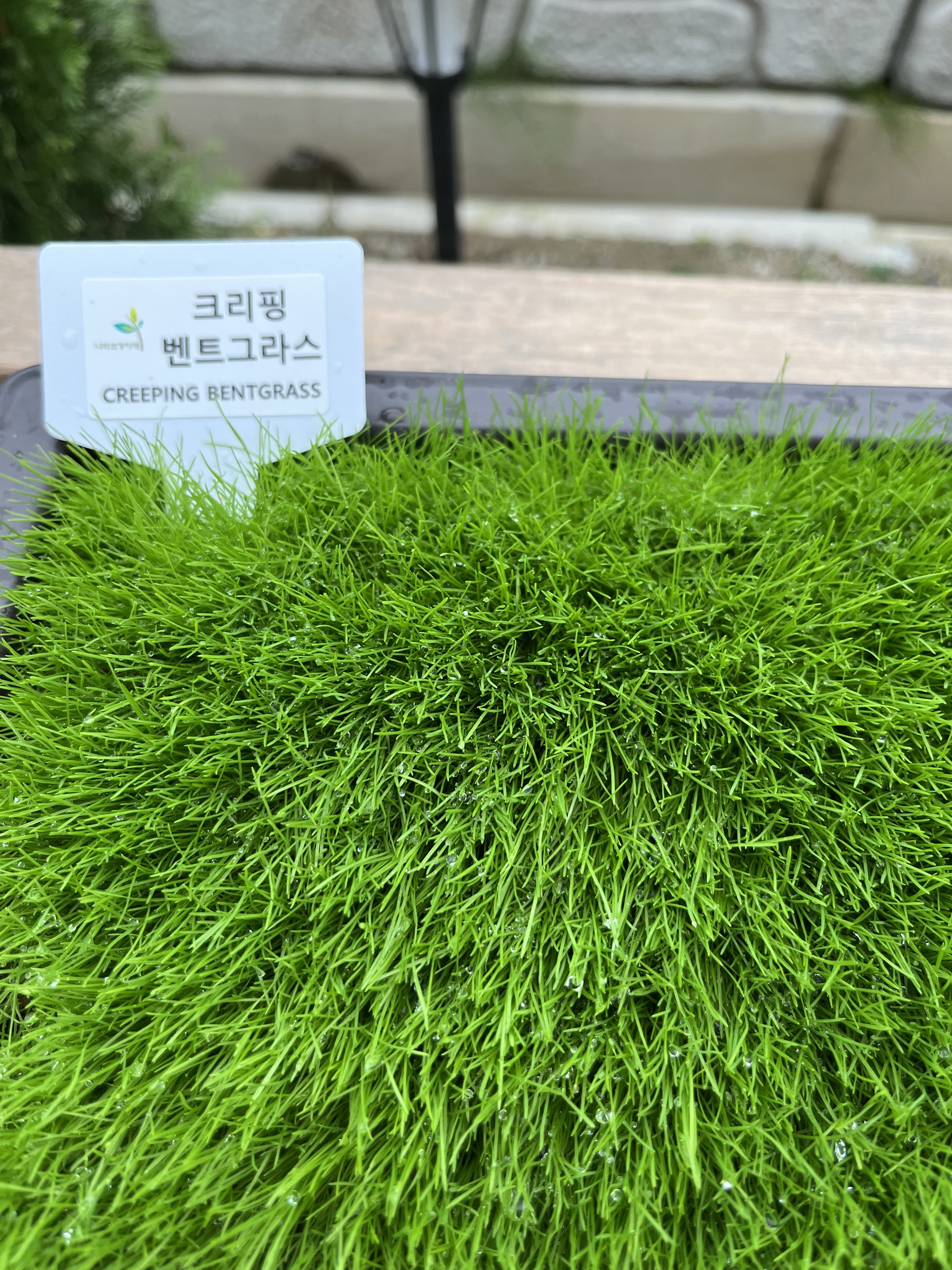 나라조경자재