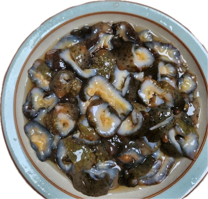 신기동대게나라