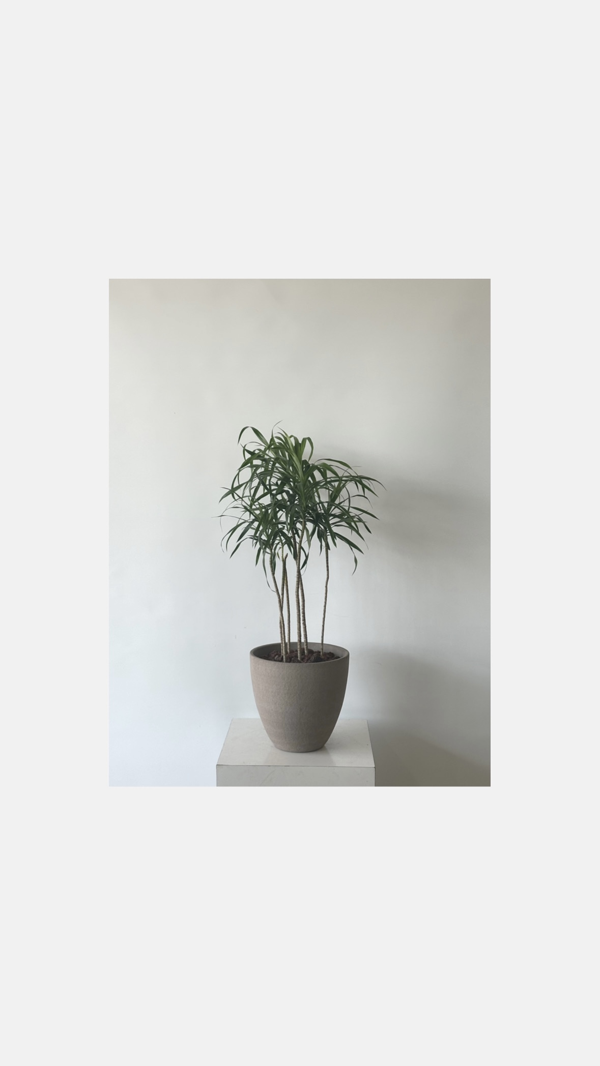 꽃바람화원