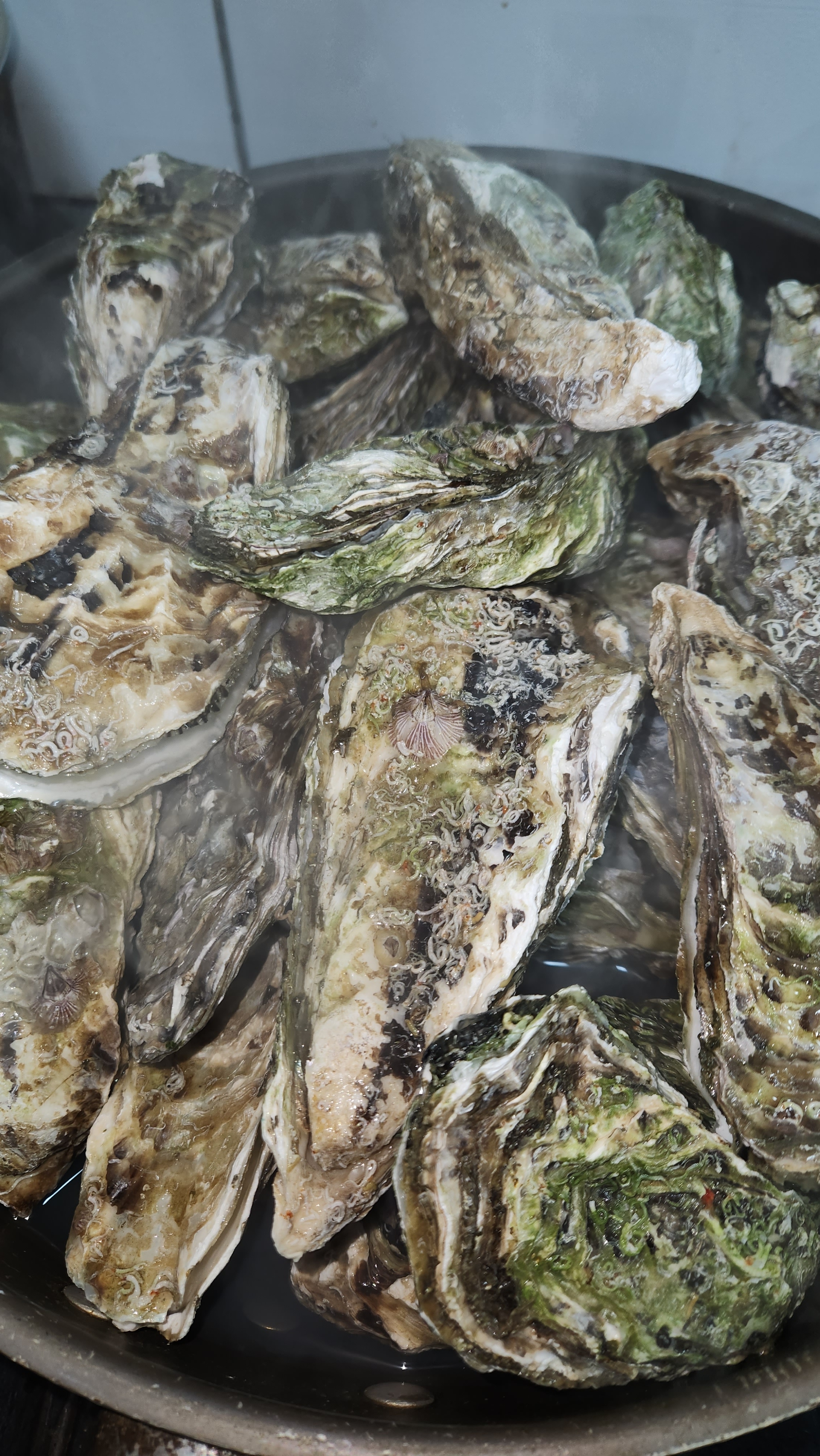 구울래찔래 죽전점