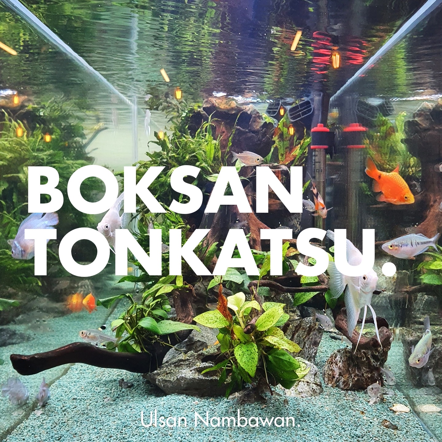 복산돈까스 북구점