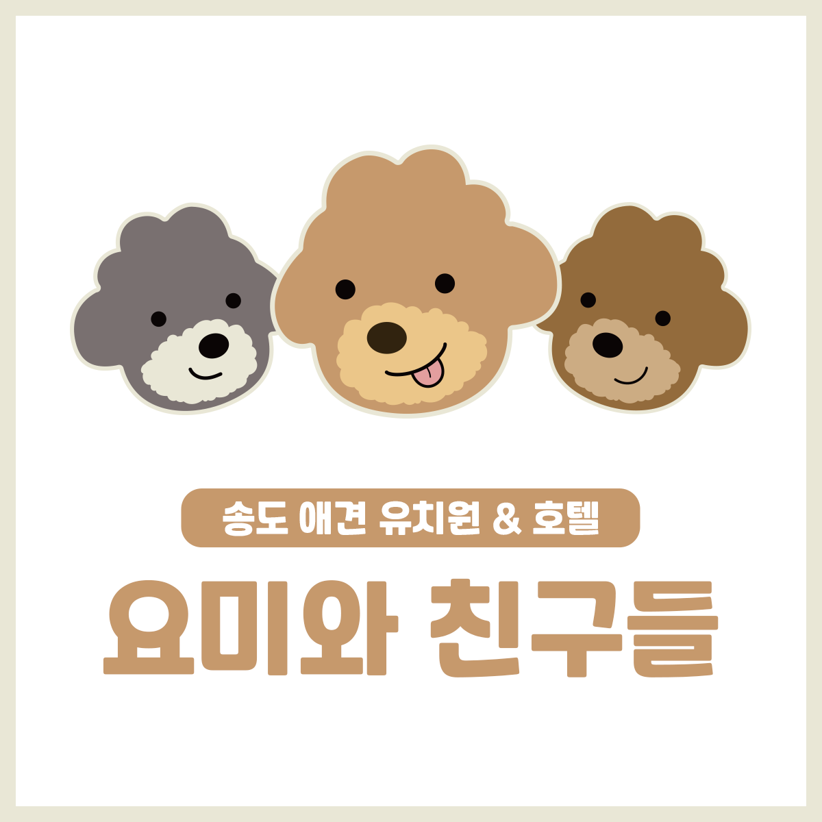 요미와 친구들 애견유치원&애견호텔