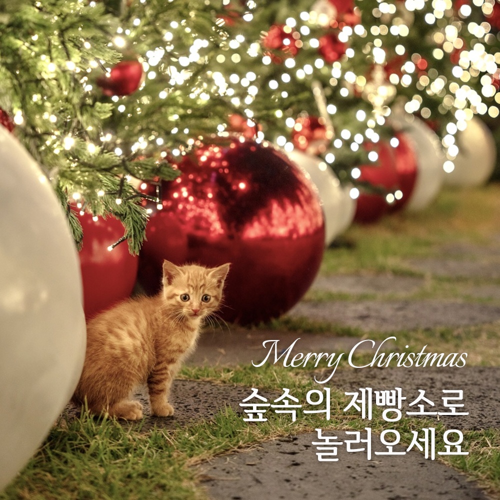 숲속의제빵소