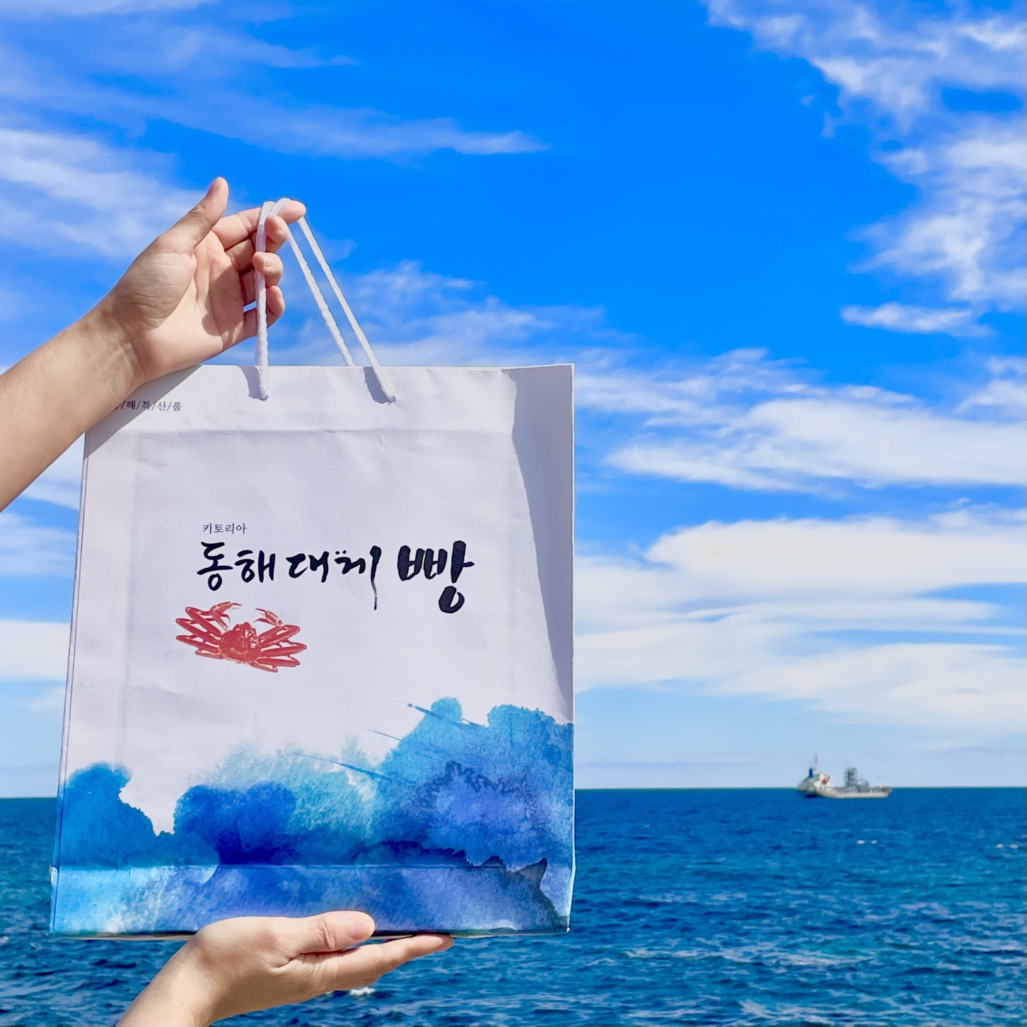 키토리아 동해대게빵