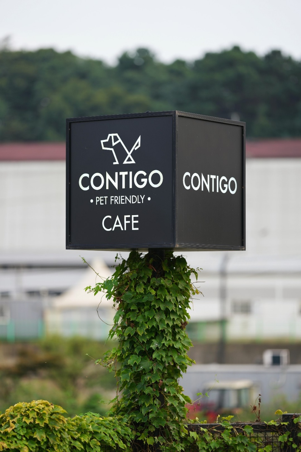 꼰띠고 대표 이미지