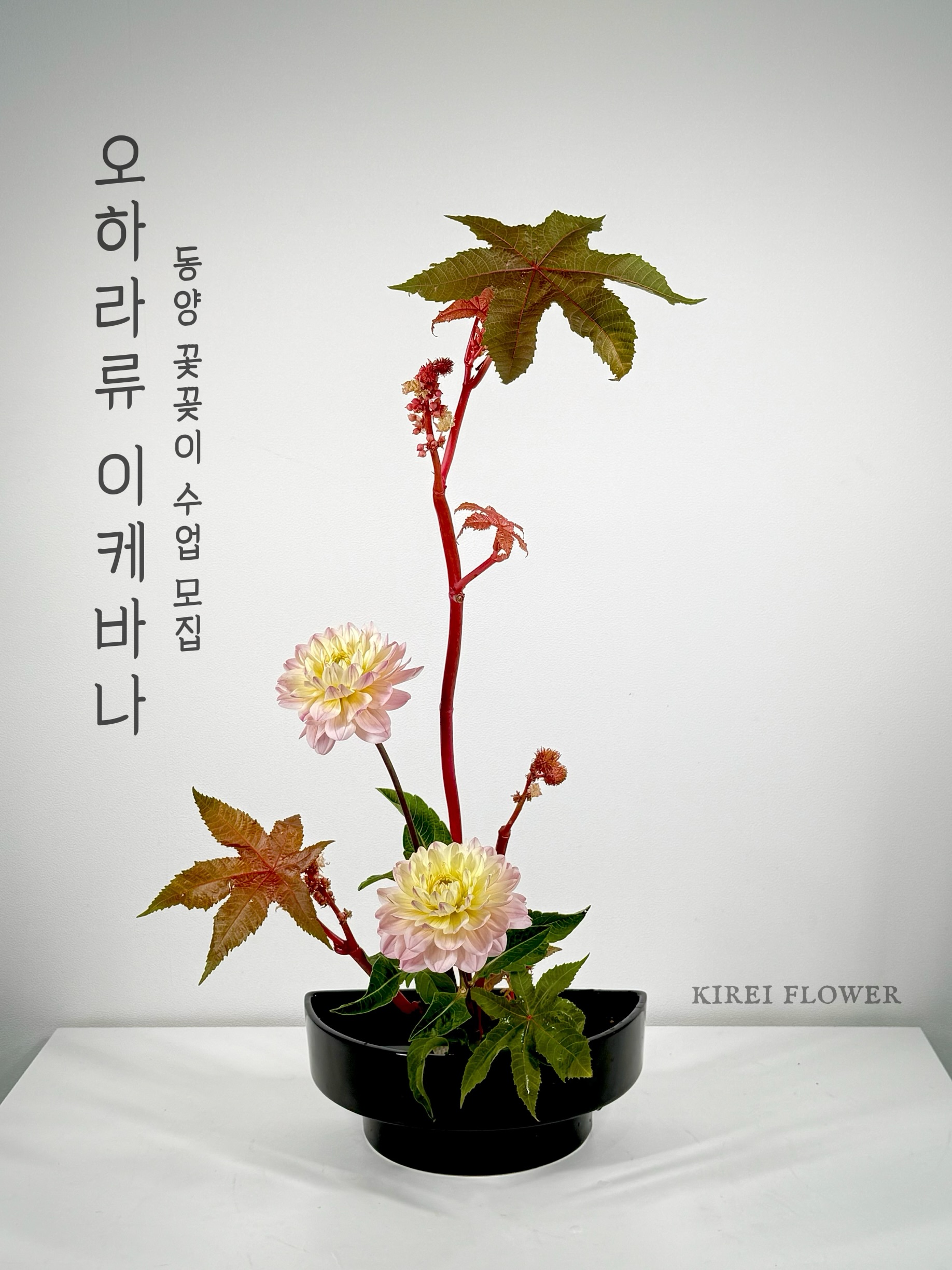 키레이플라워