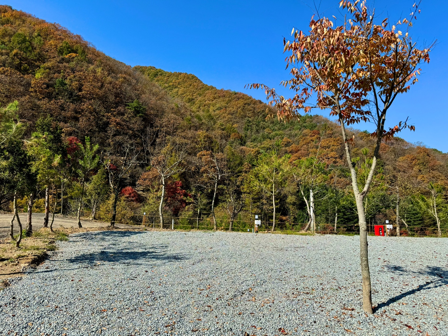 오도치 캠핑장