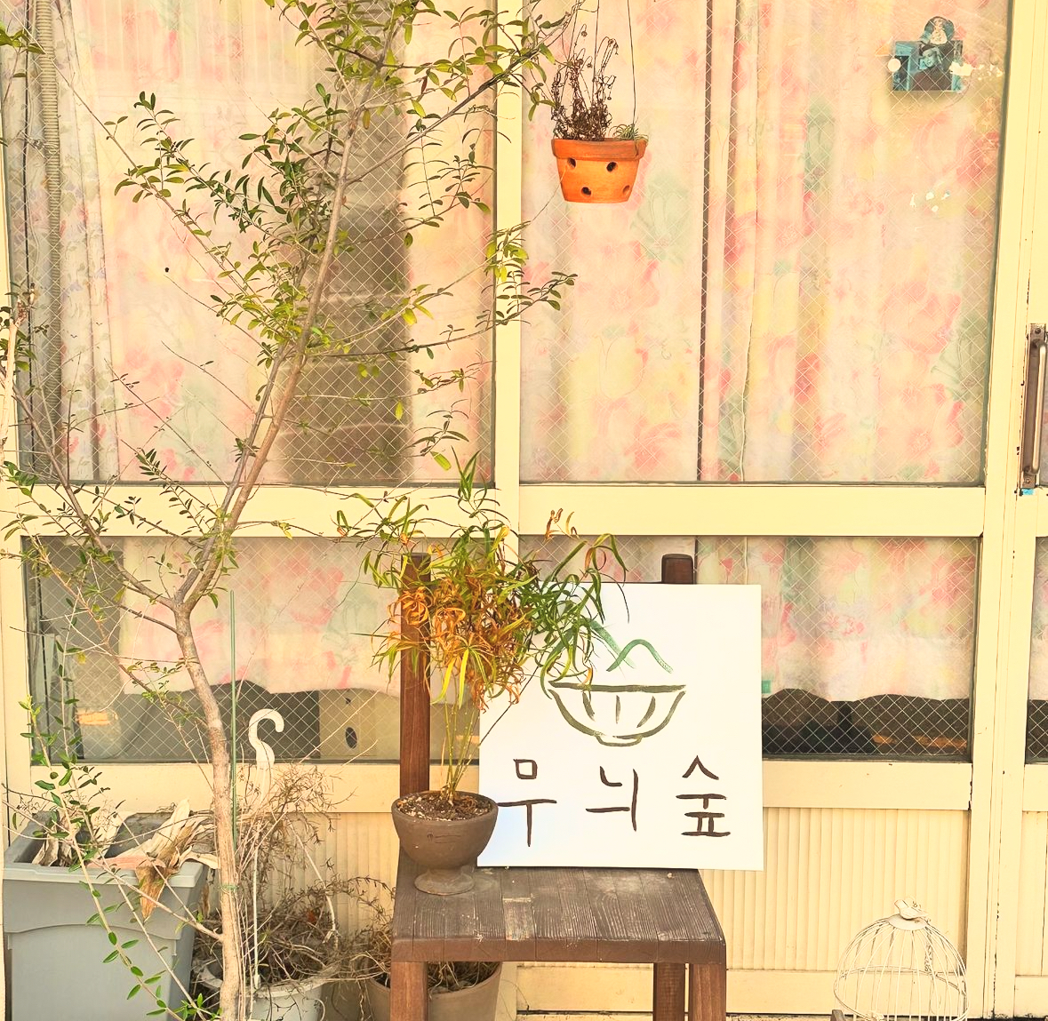 무늬숲