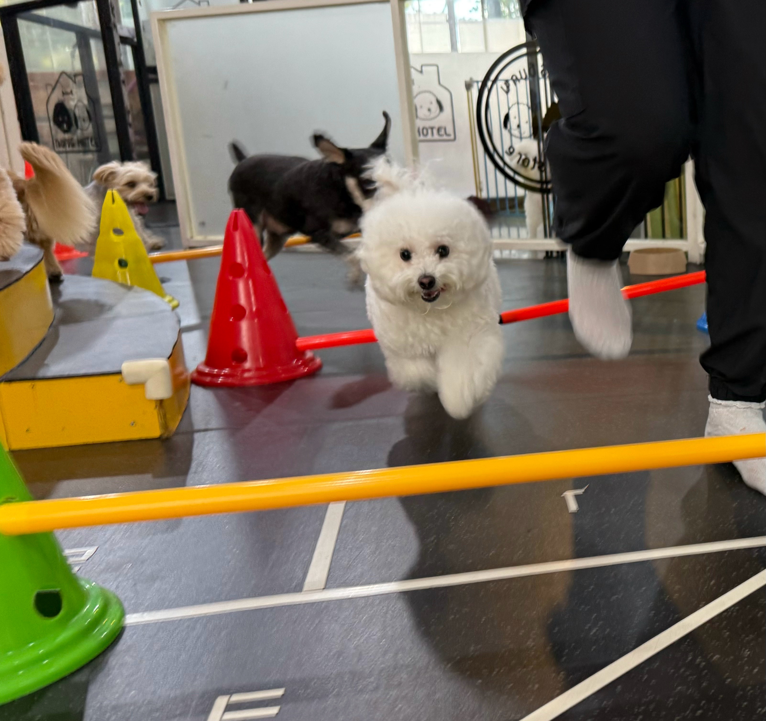 멍스토어 대표 이미지