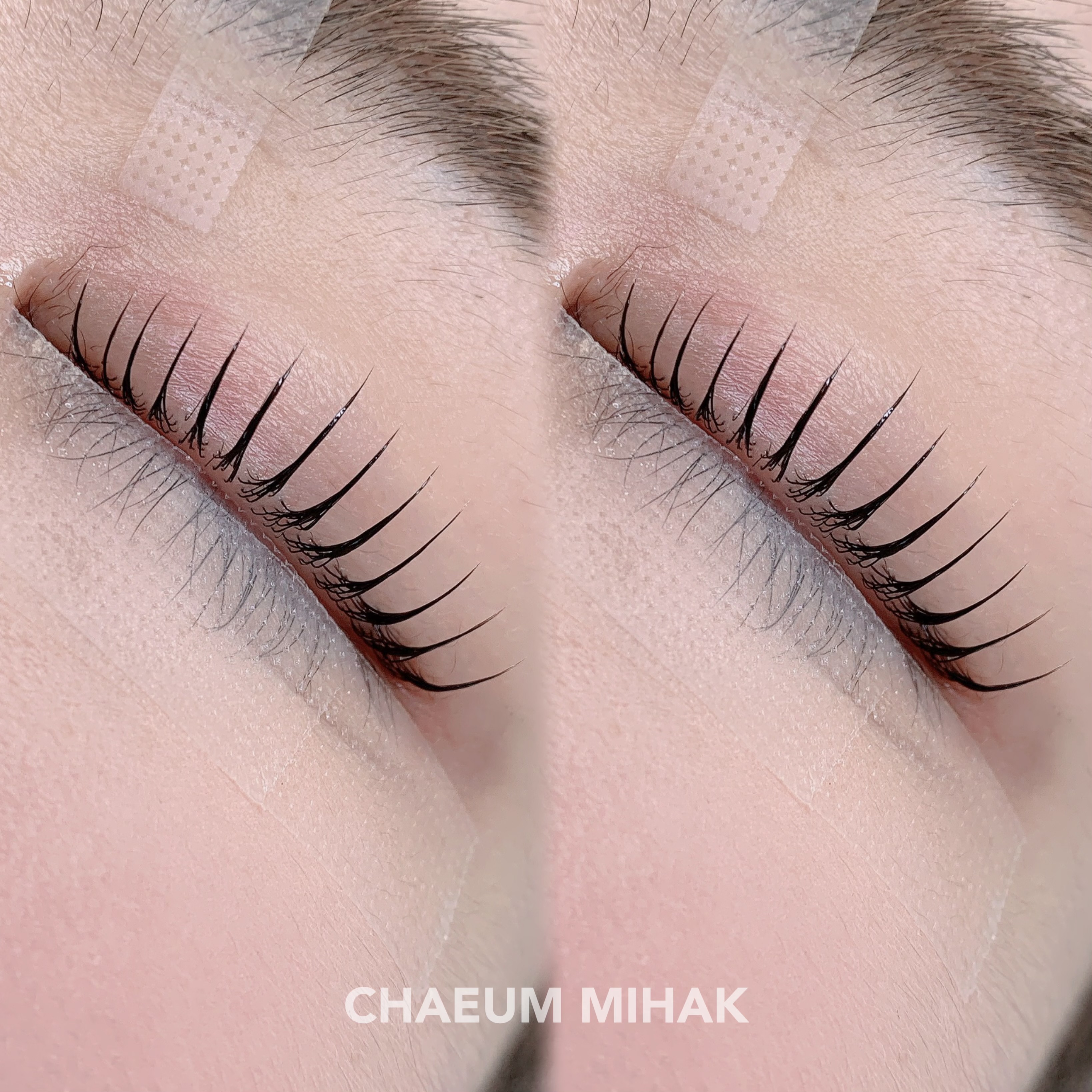 채움의 미학 대표 이미지