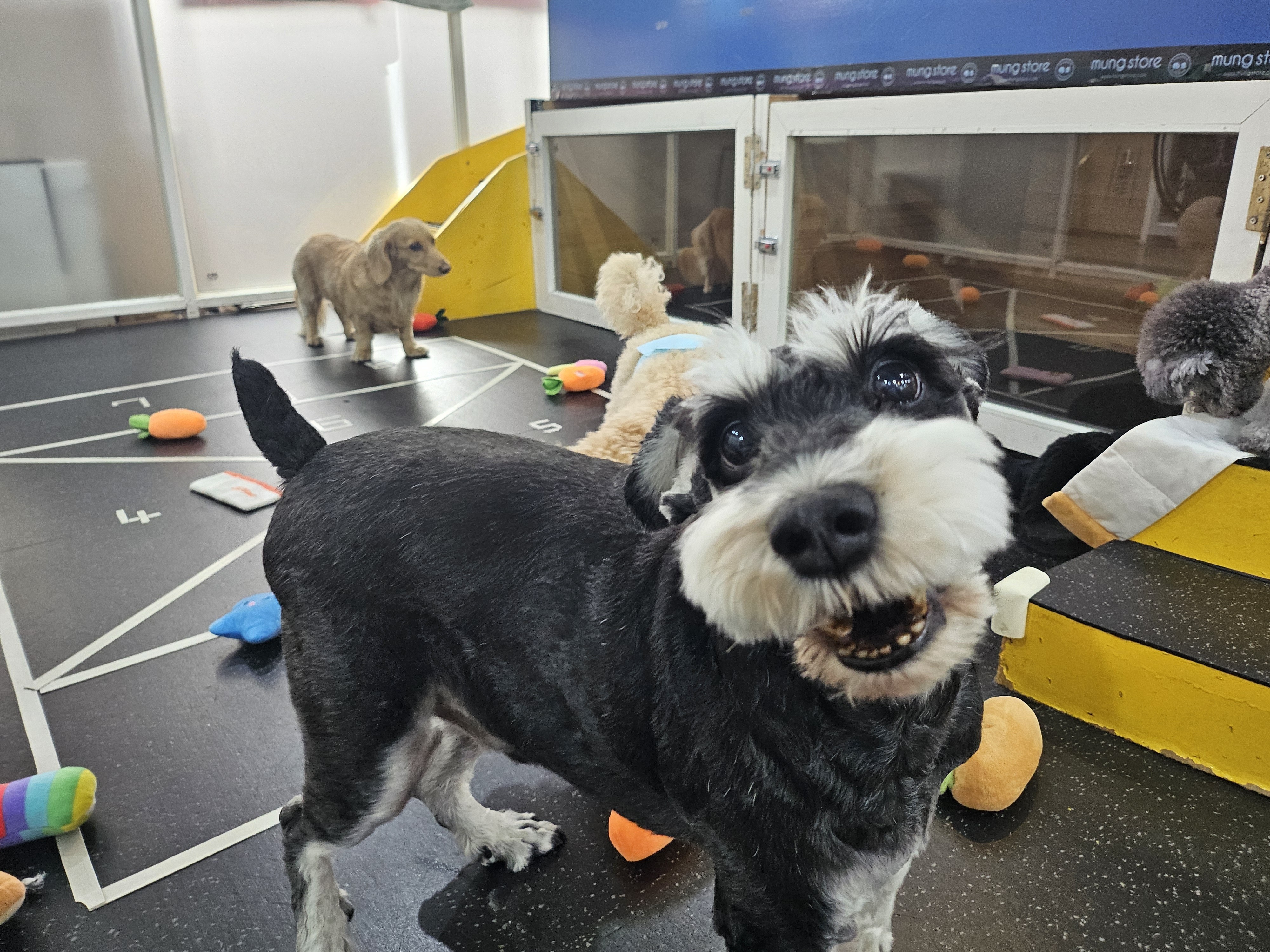 멍스토어 대표 이미지