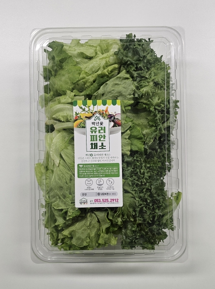 인동촌백년마을마을관리사회적협동조합