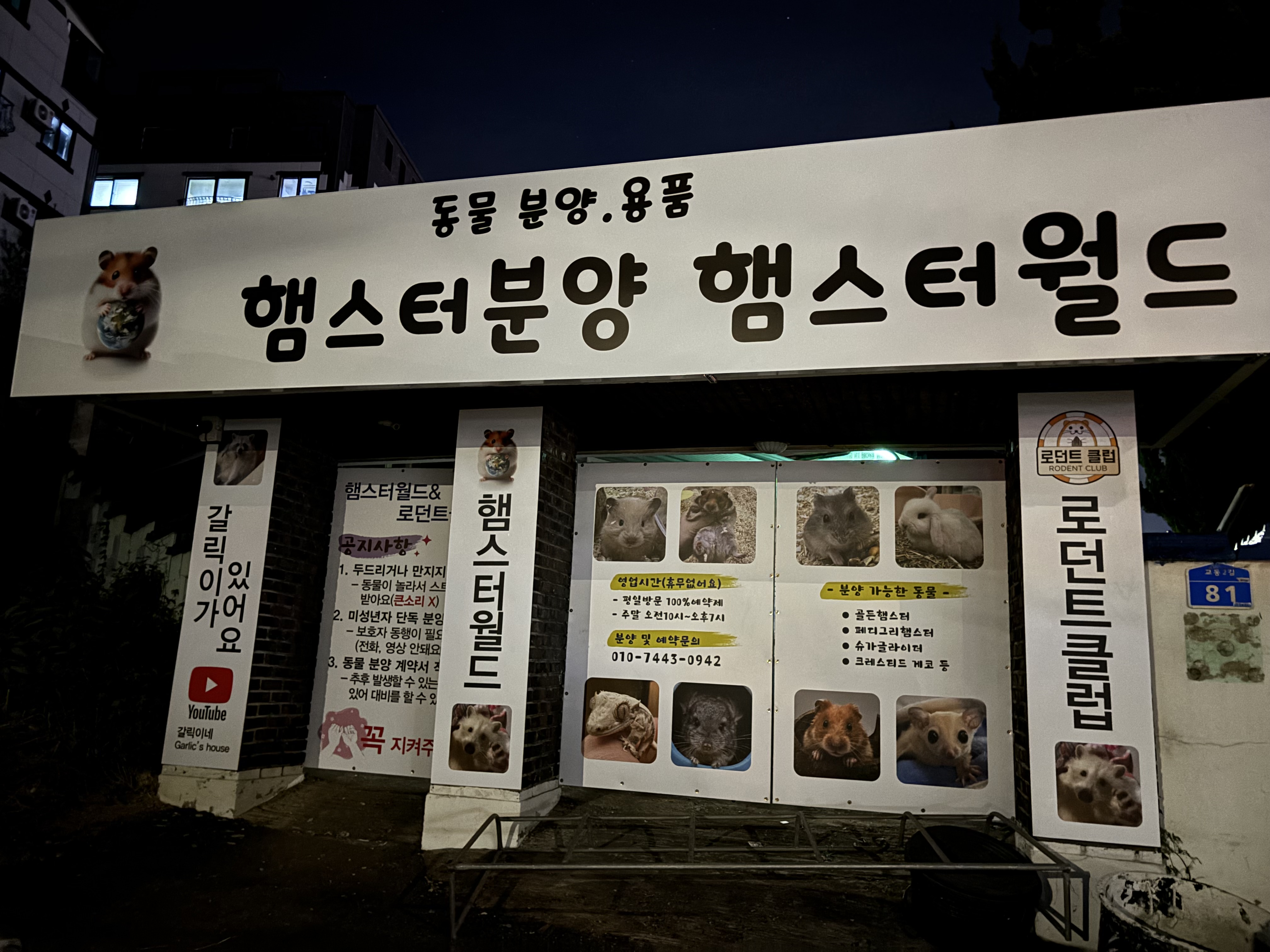 햄스터분양햄스터월드
