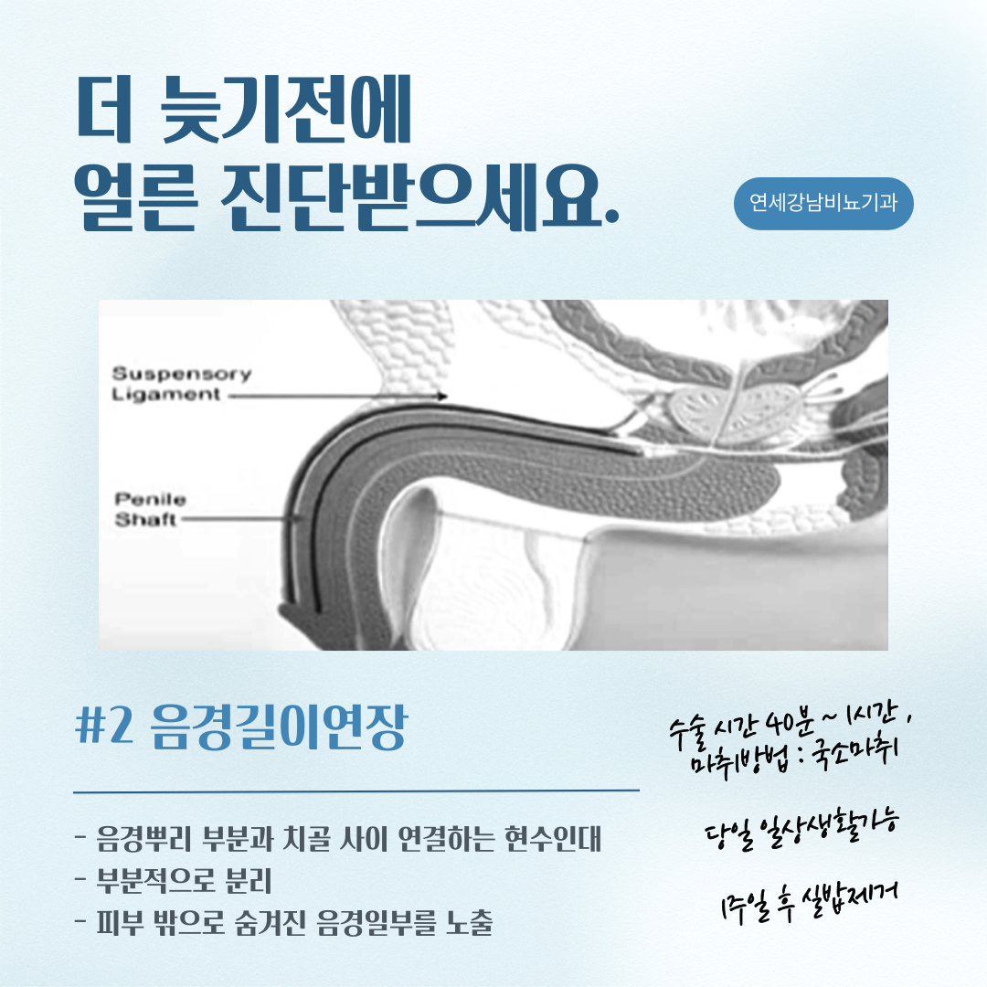 연세강남비뇨기과의원