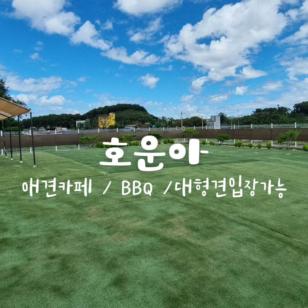 호운아 대표 이미지