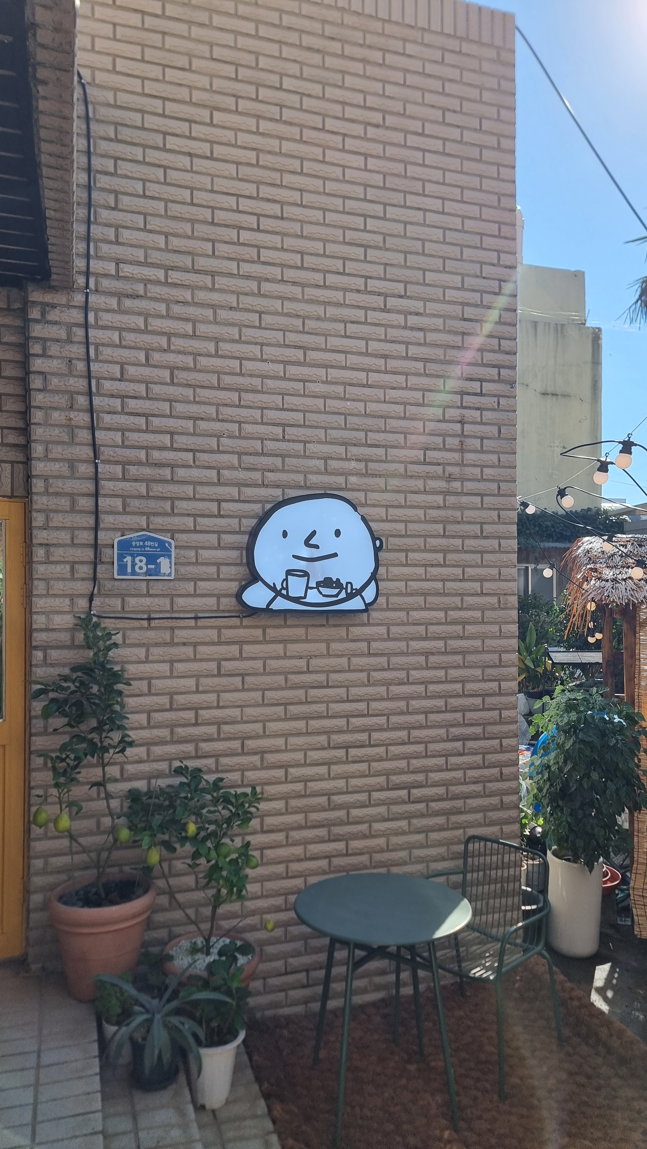 제주빠박이