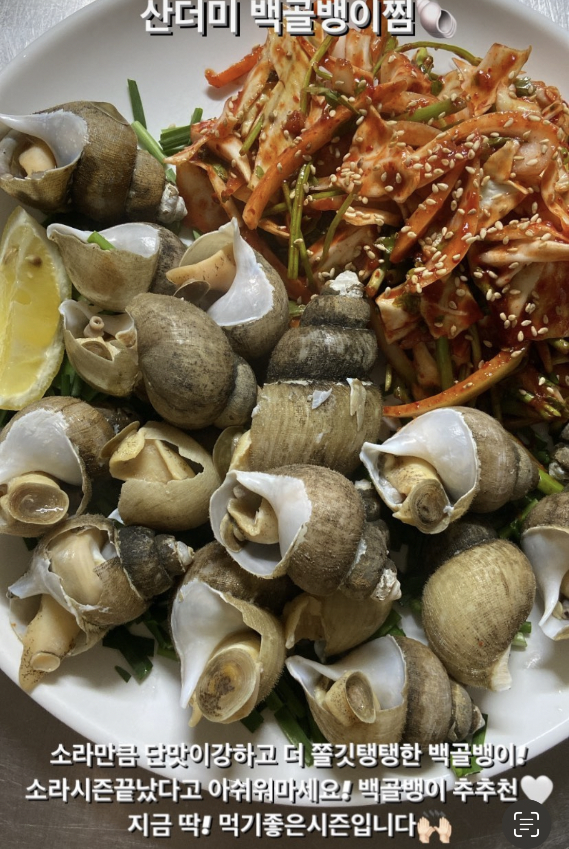 해물상회