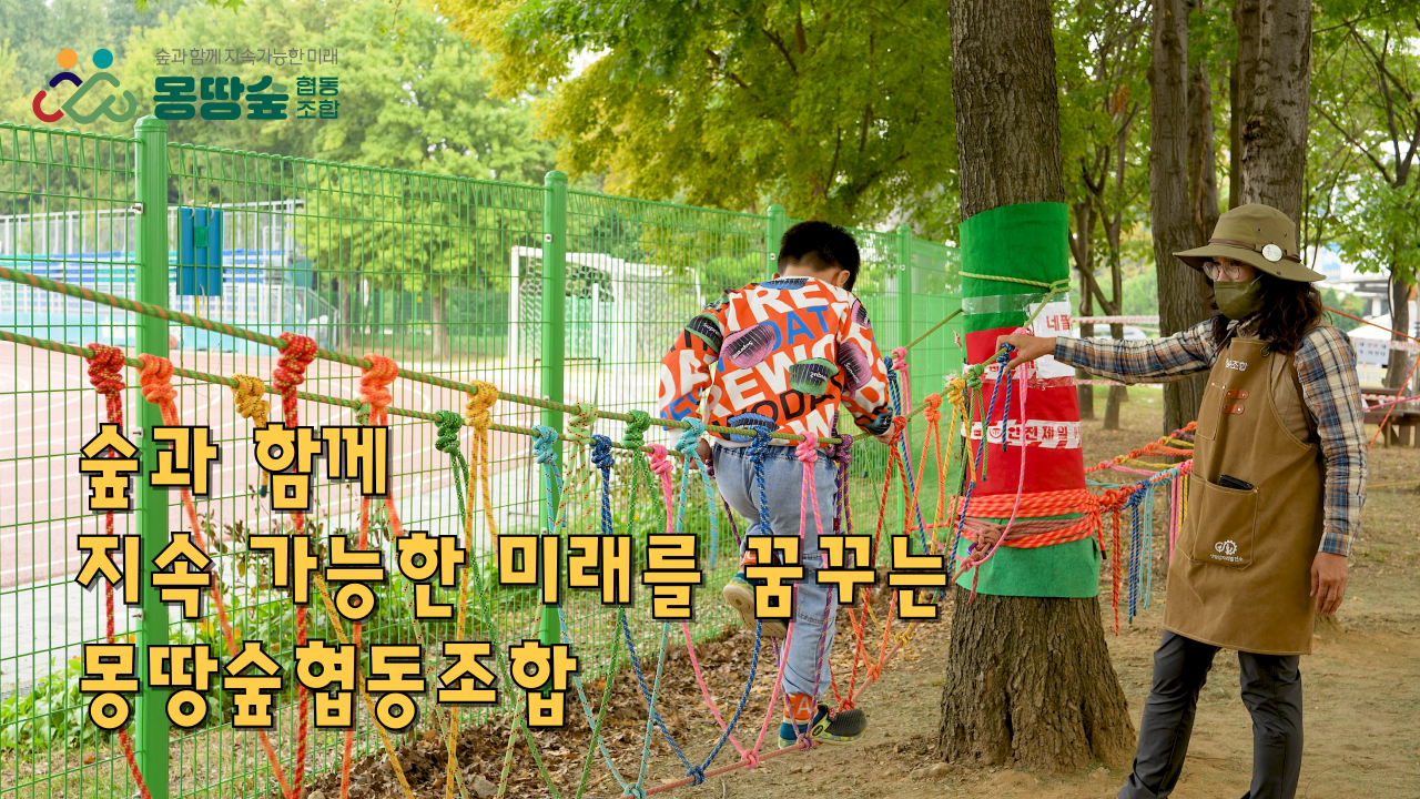 몽땅숲협동조합