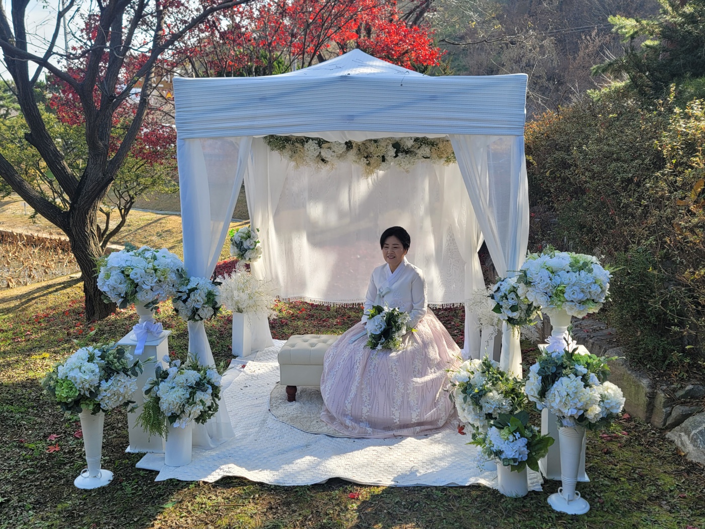아리솔