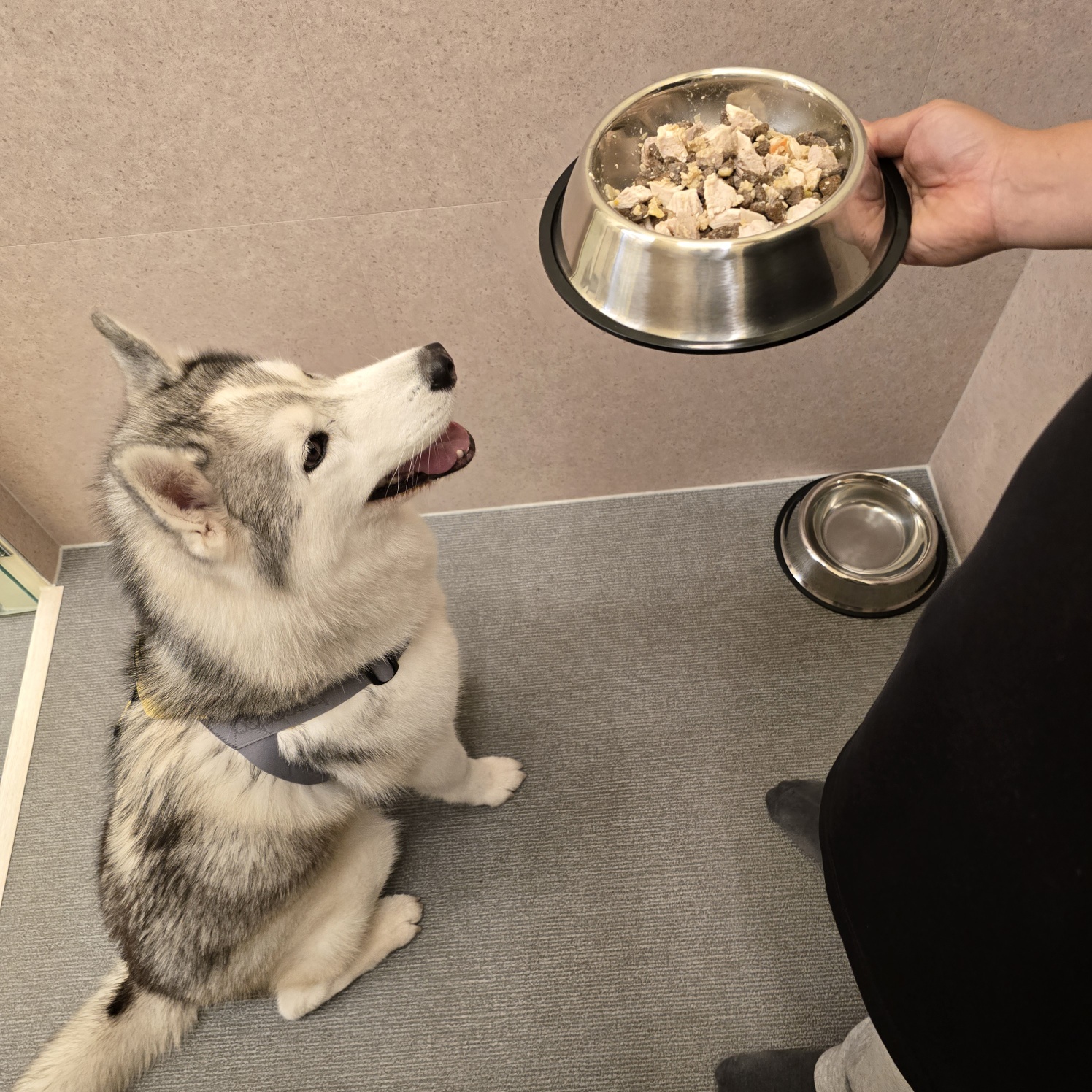 조이네집 대표 이미지