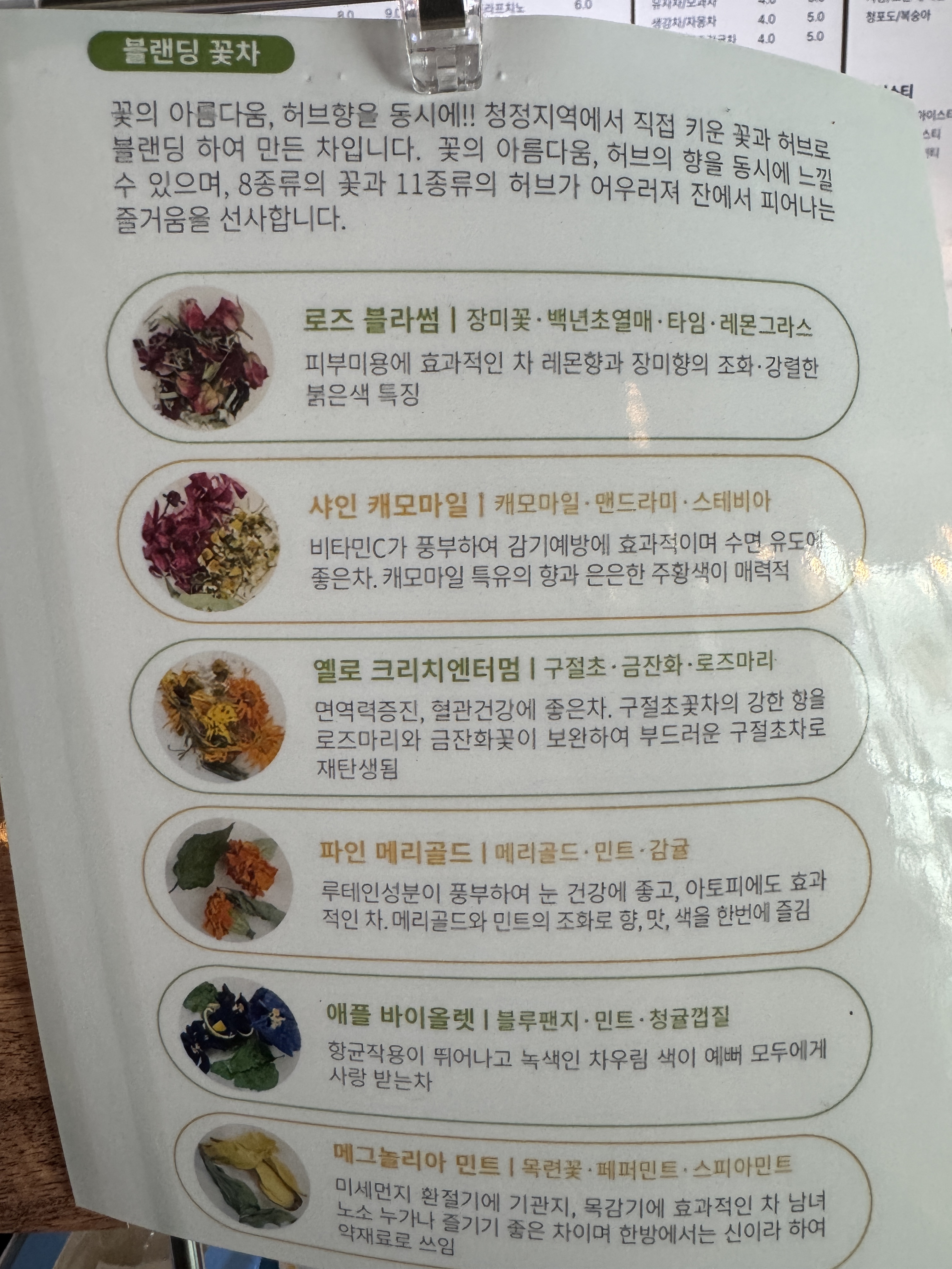 카페 보그너