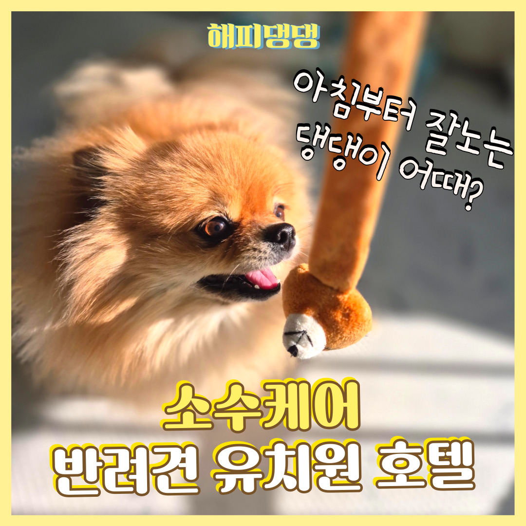 해피댕댕페인팅 대표 이미지
