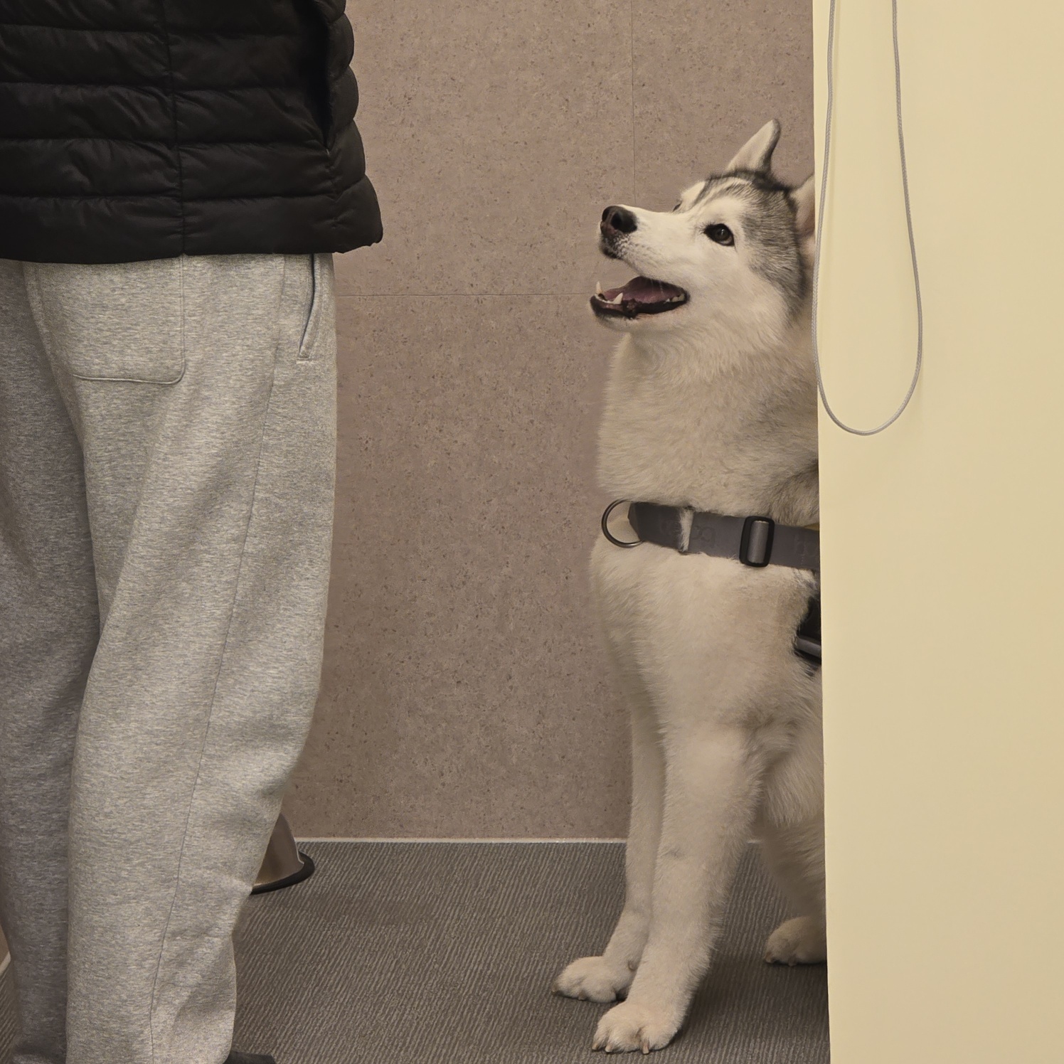 조이네집 대표 이미지