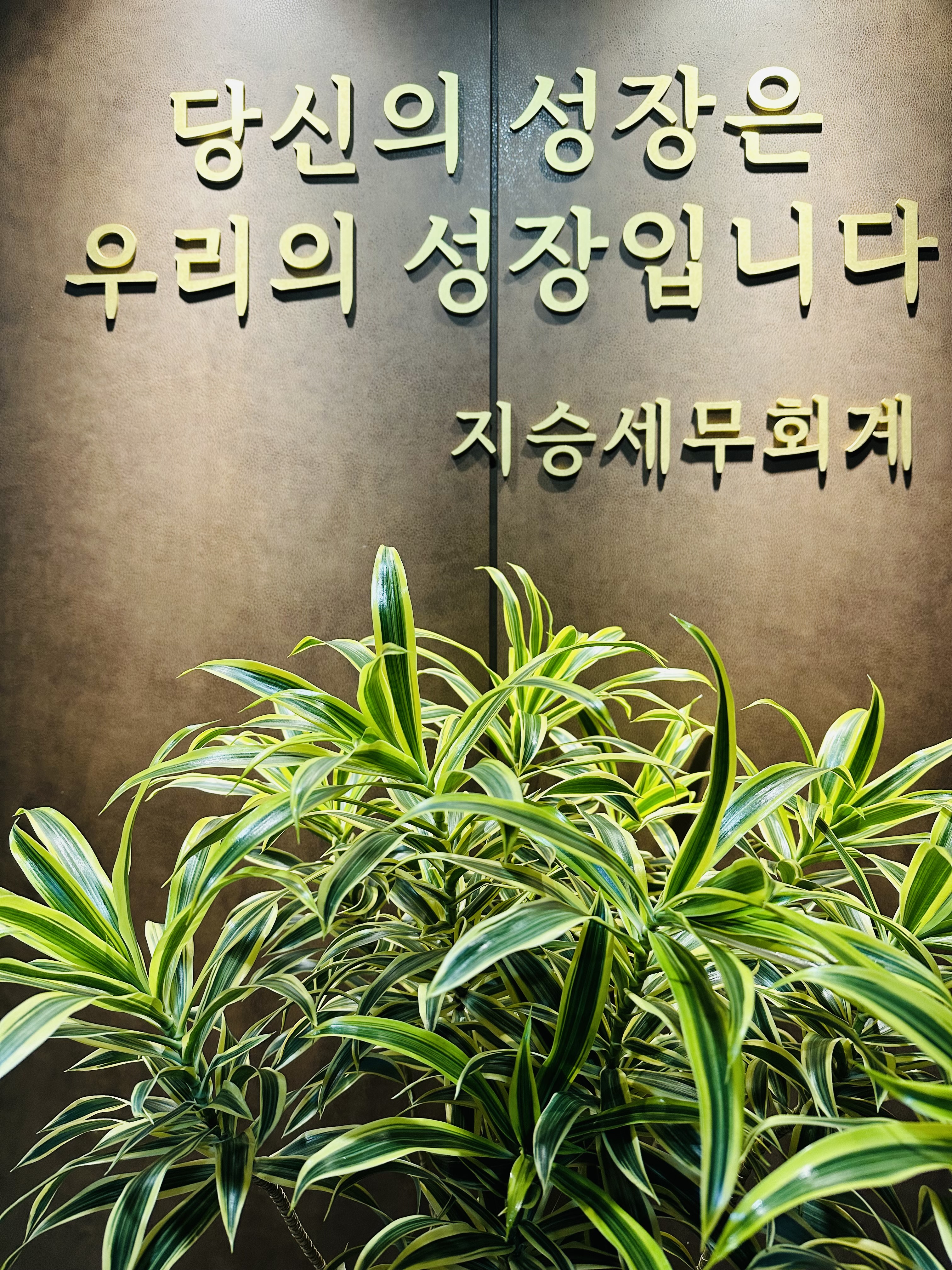 지승세무회계
