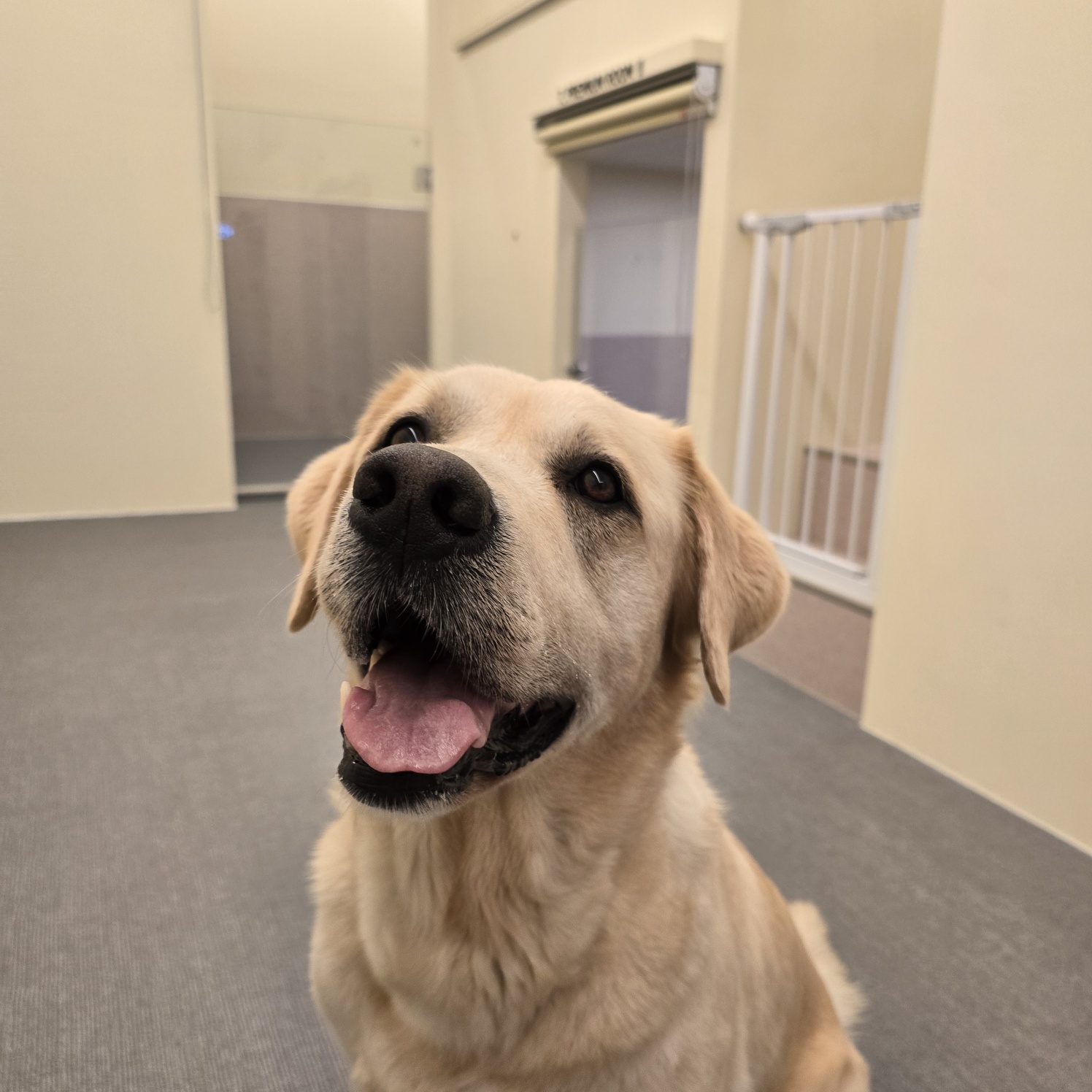 조이네집 대표 이미지