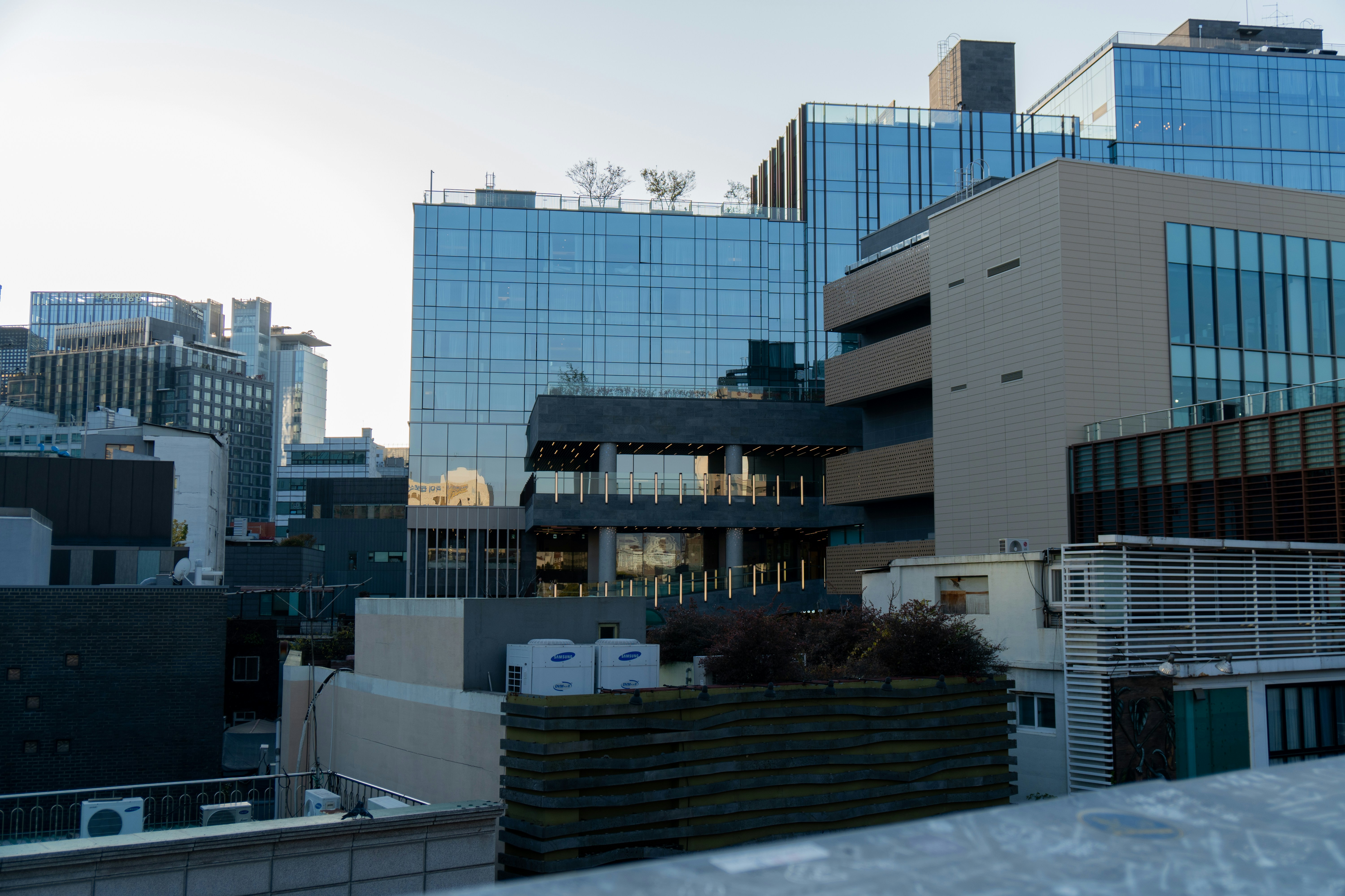 서화회계법인 대표 이미지