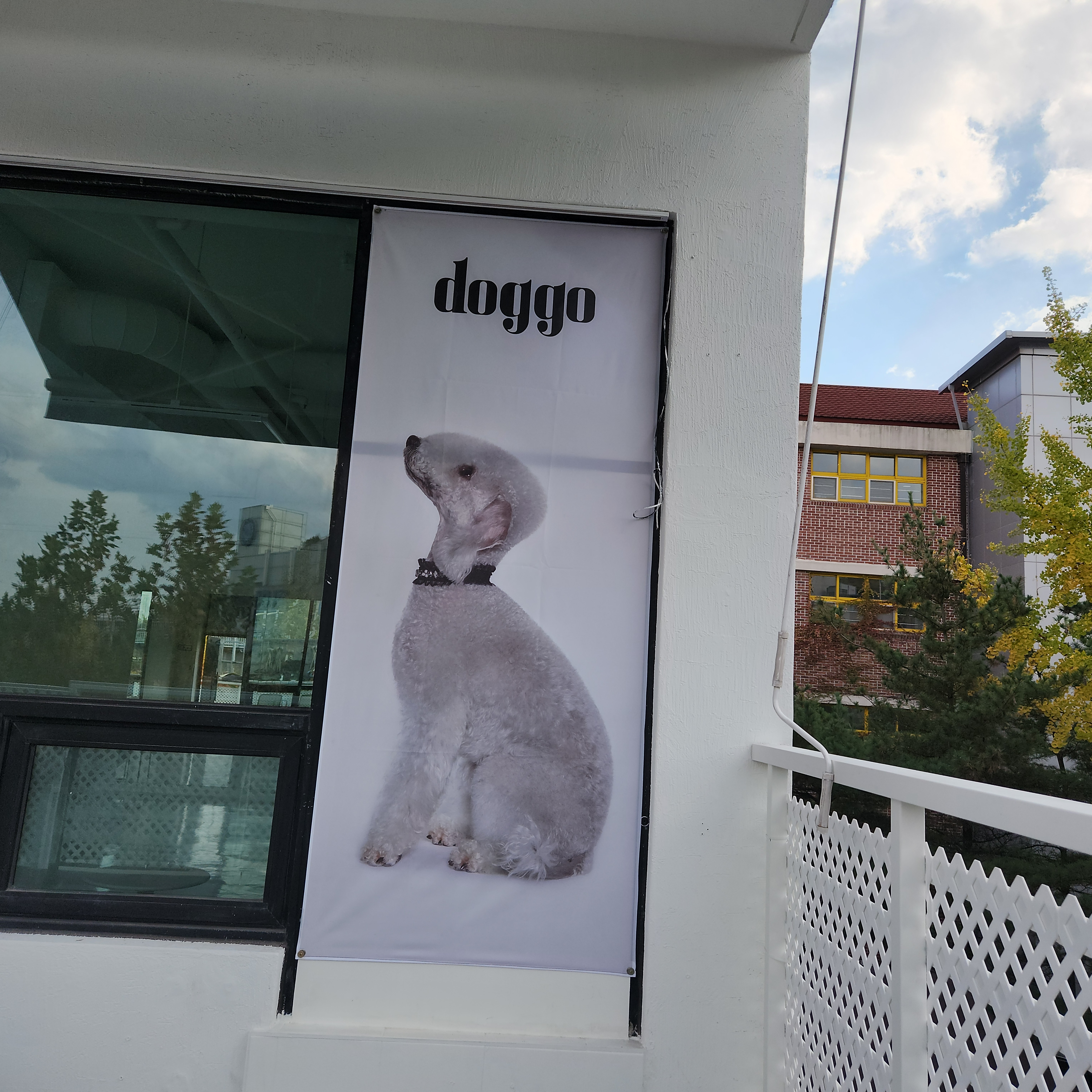 도고 대표 이미지