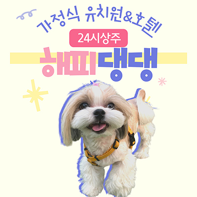 해피댕댕페인팅 대표 이미지
