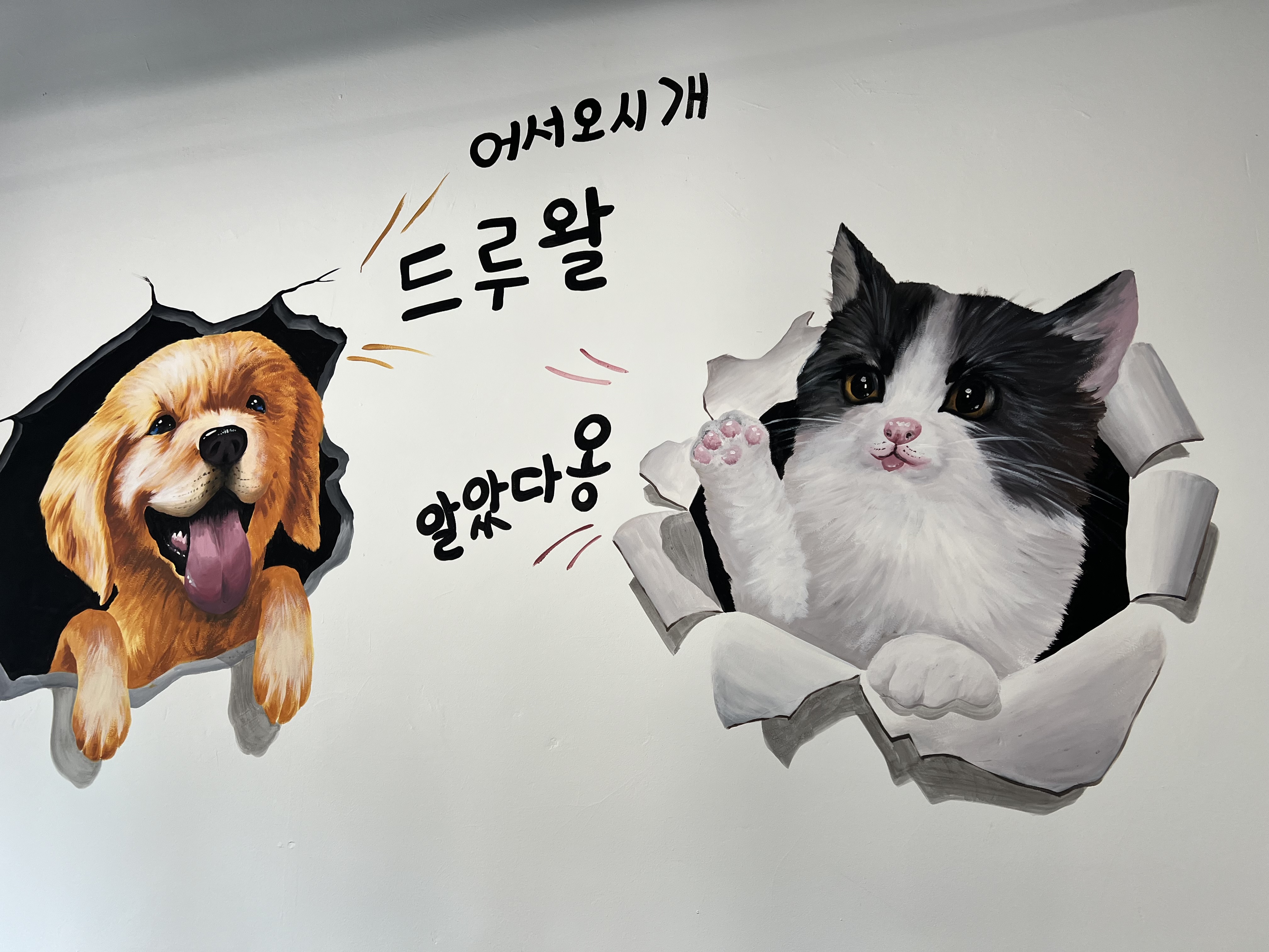 진갈비 부천범박점 내부 또는 관련 모습